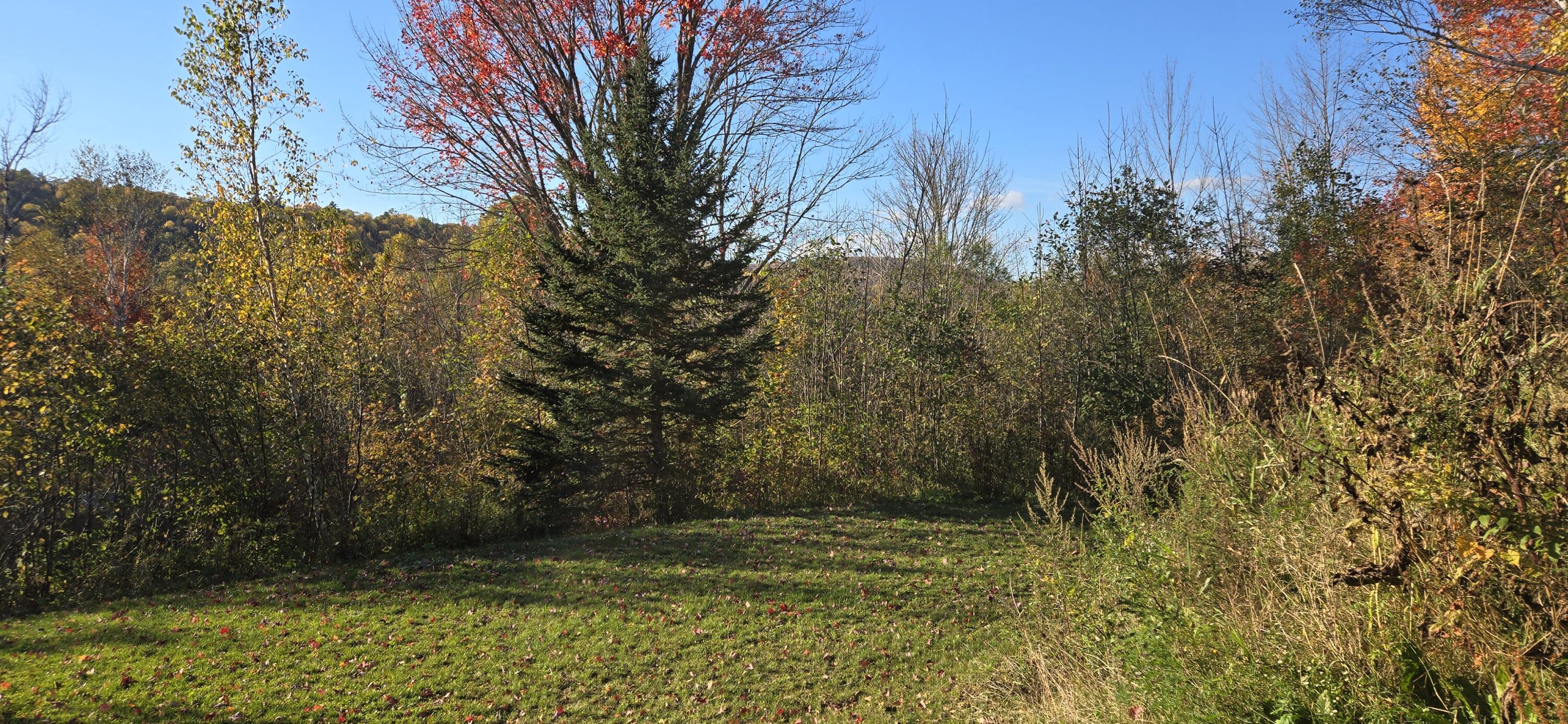 1537 Main Street Property Photo 6