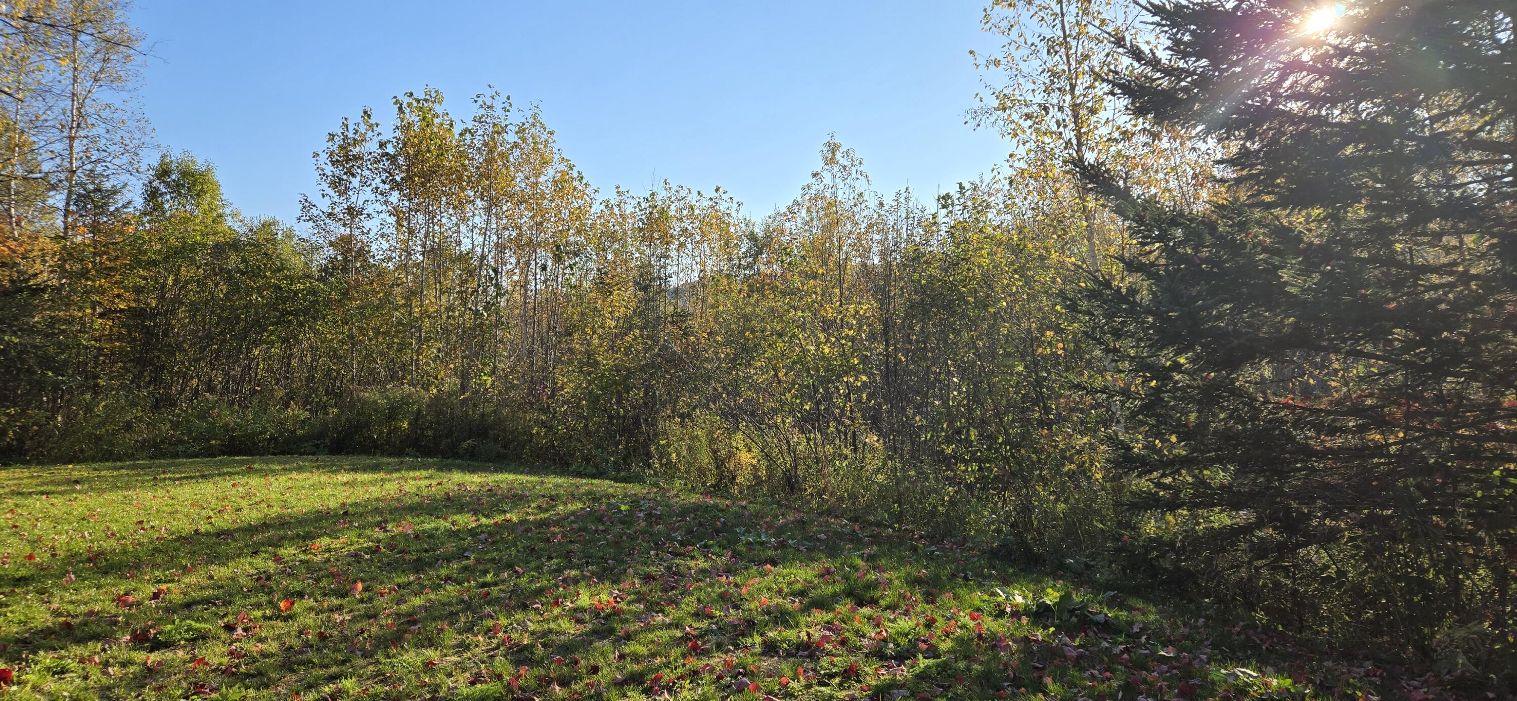 1537 Main Street Property Photo 7