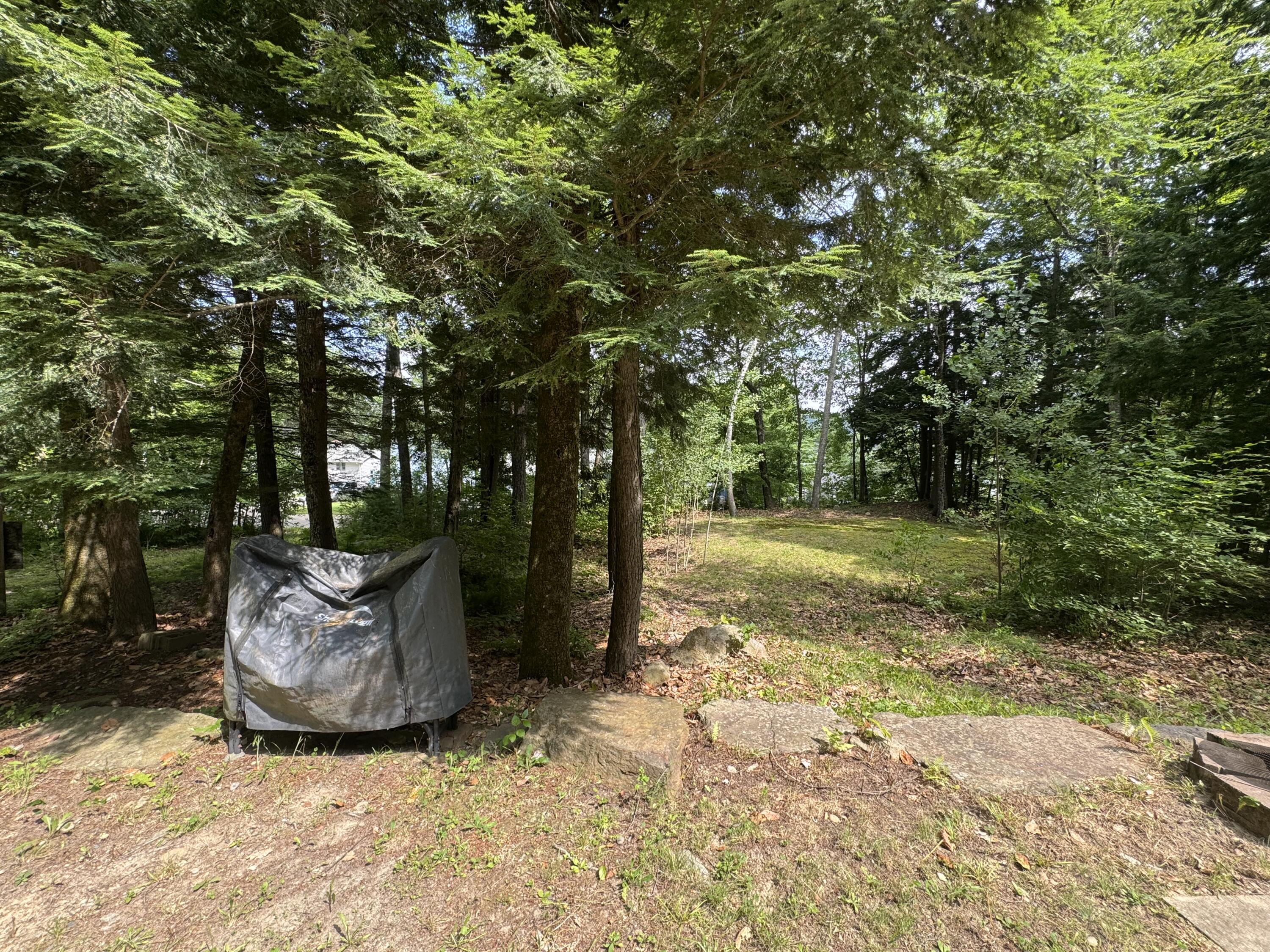 46 Chipmunk Lane Property Photo 19