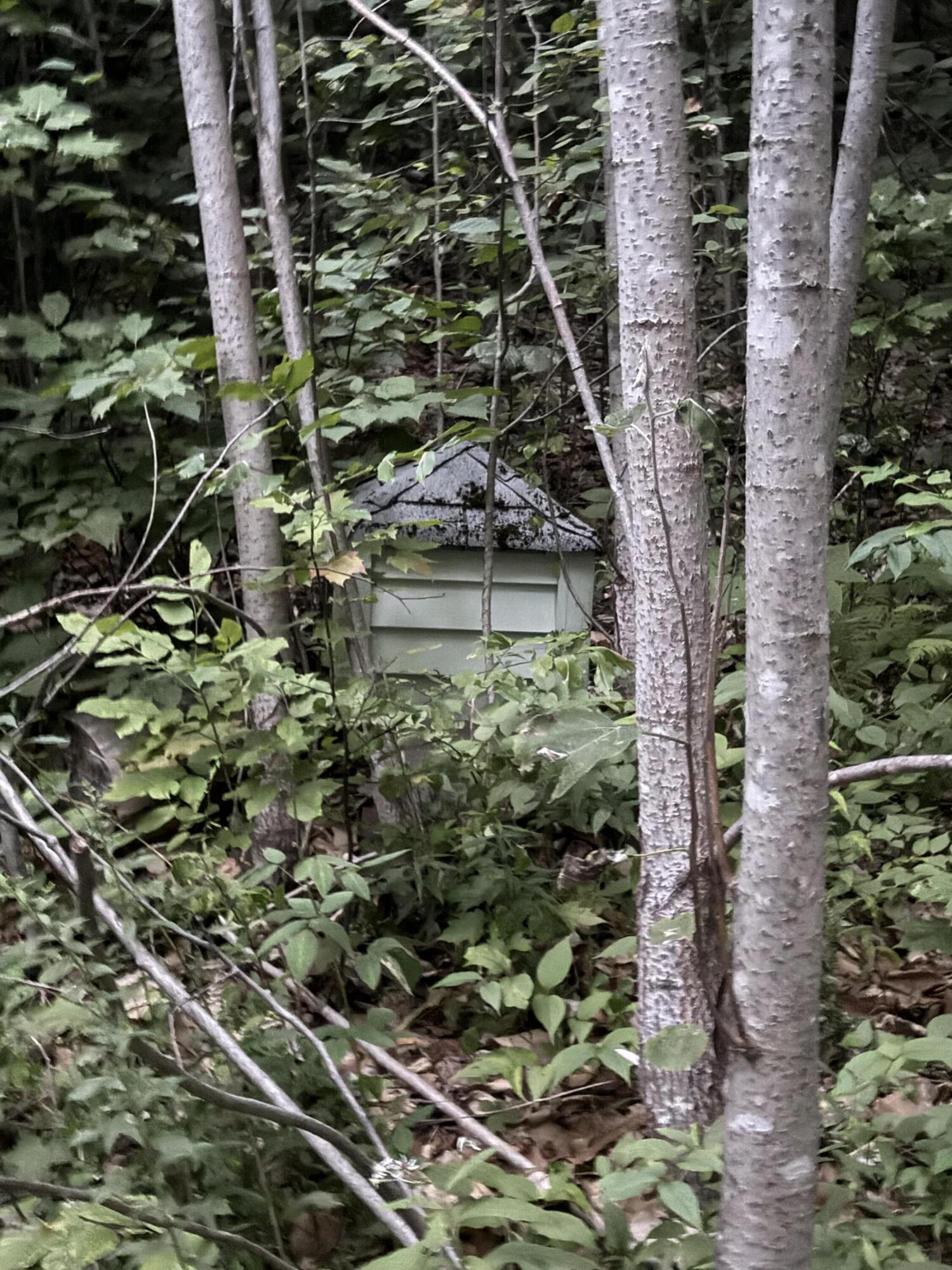 46 Chipmunk Lane Property Photo 35