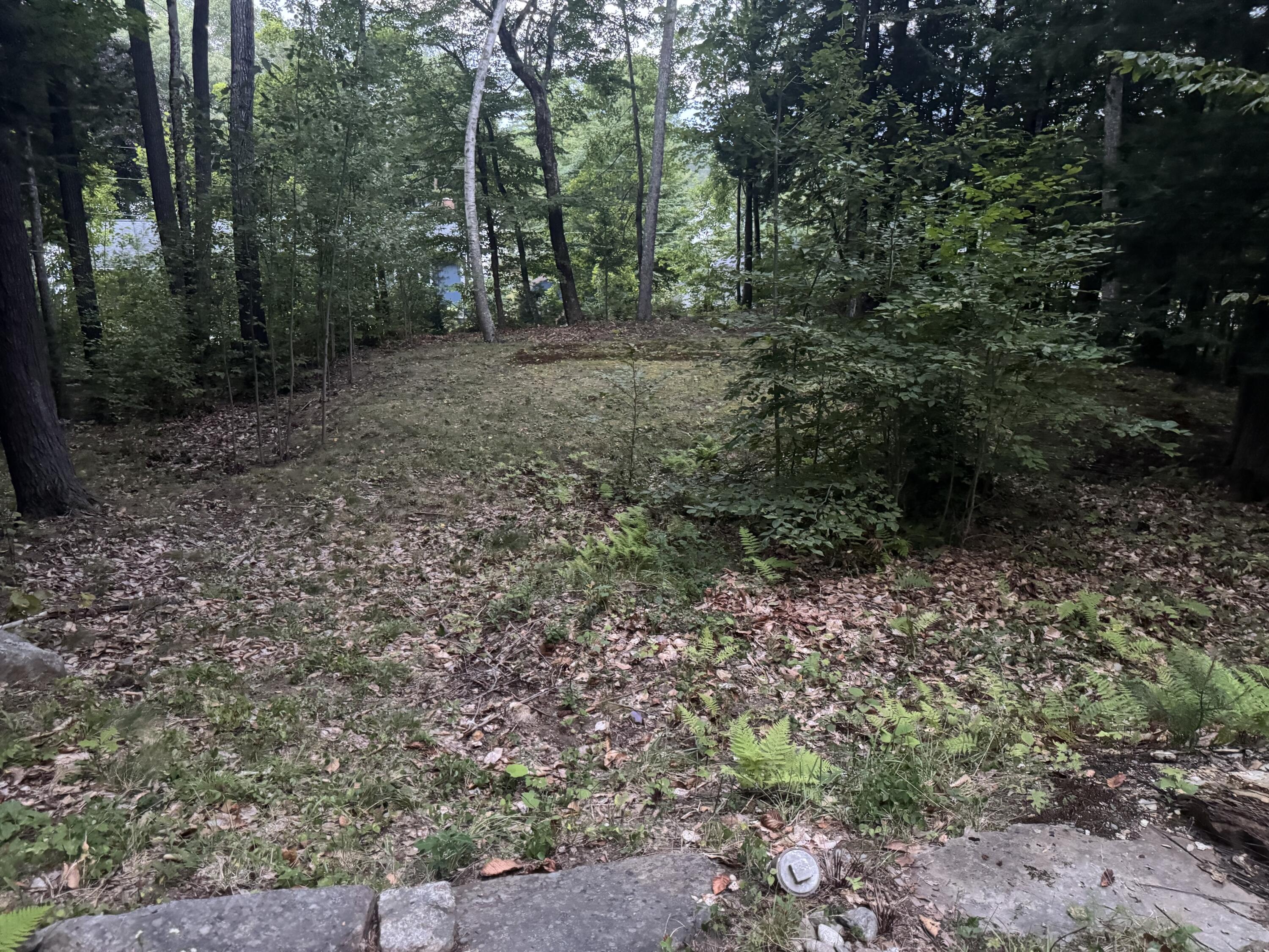 46 Chipmunk Lane Property Photo 39