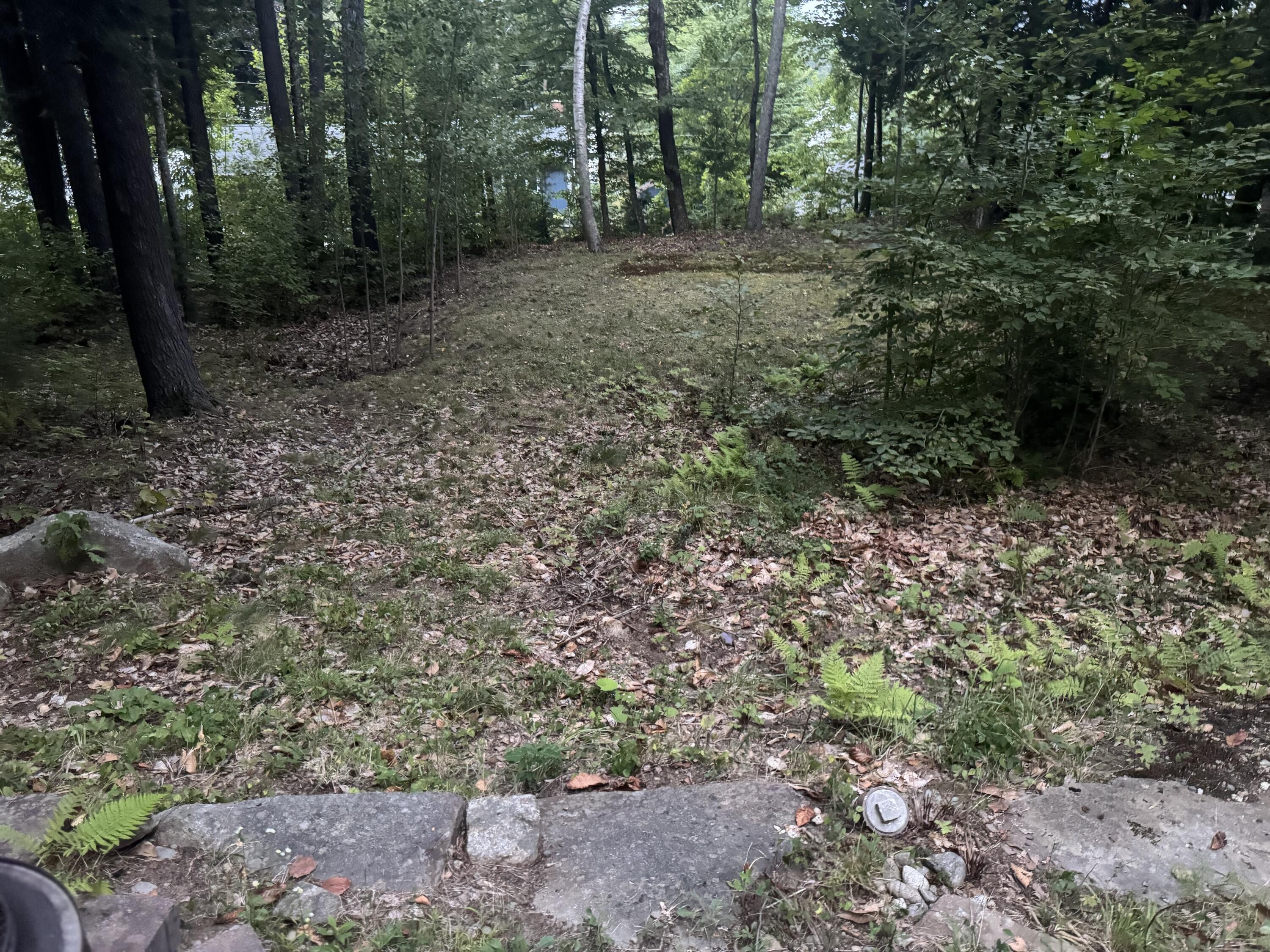 46 Chipmunk Lane Property Photo 40
