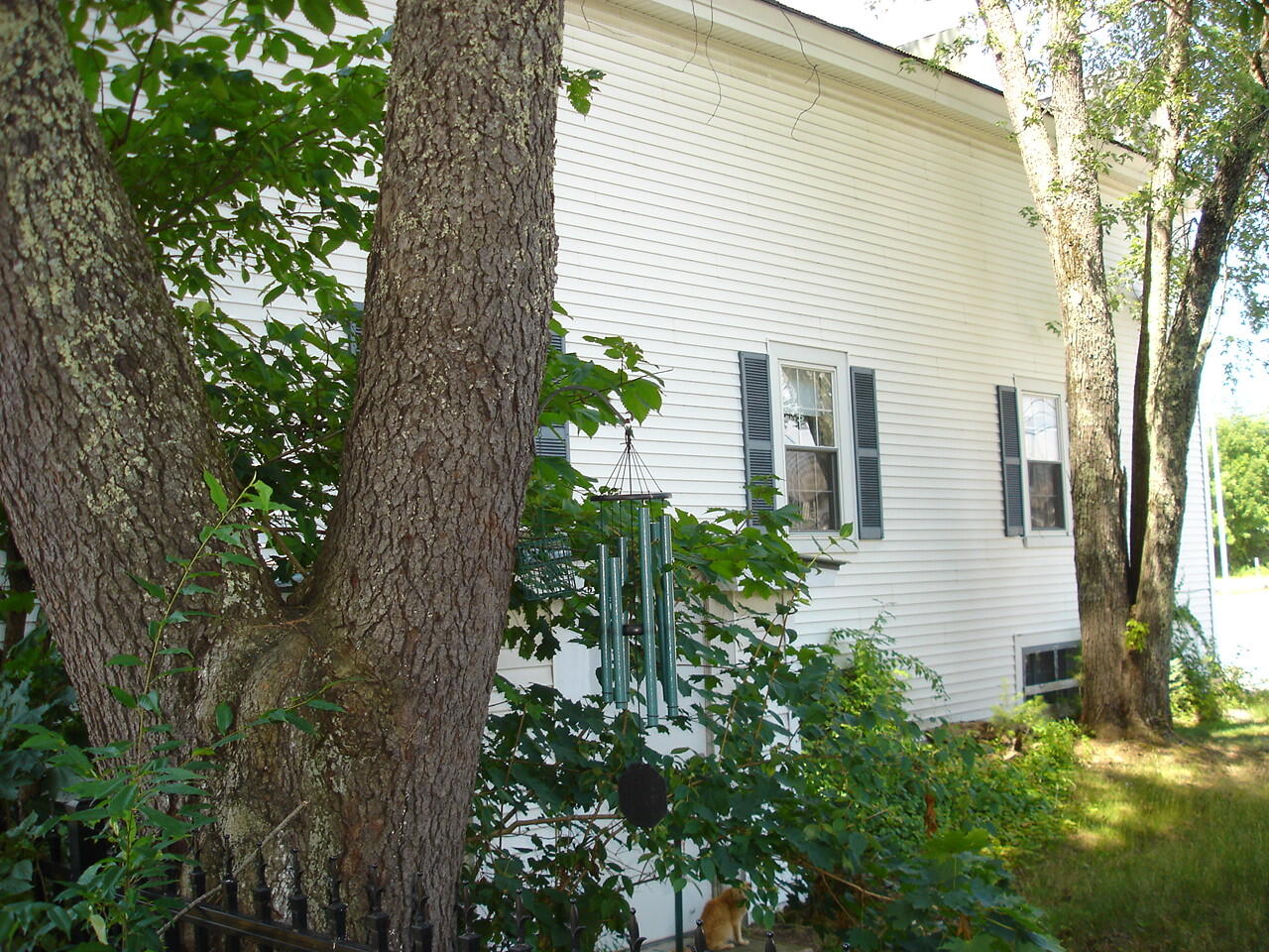519 Main Street Property Photo 15