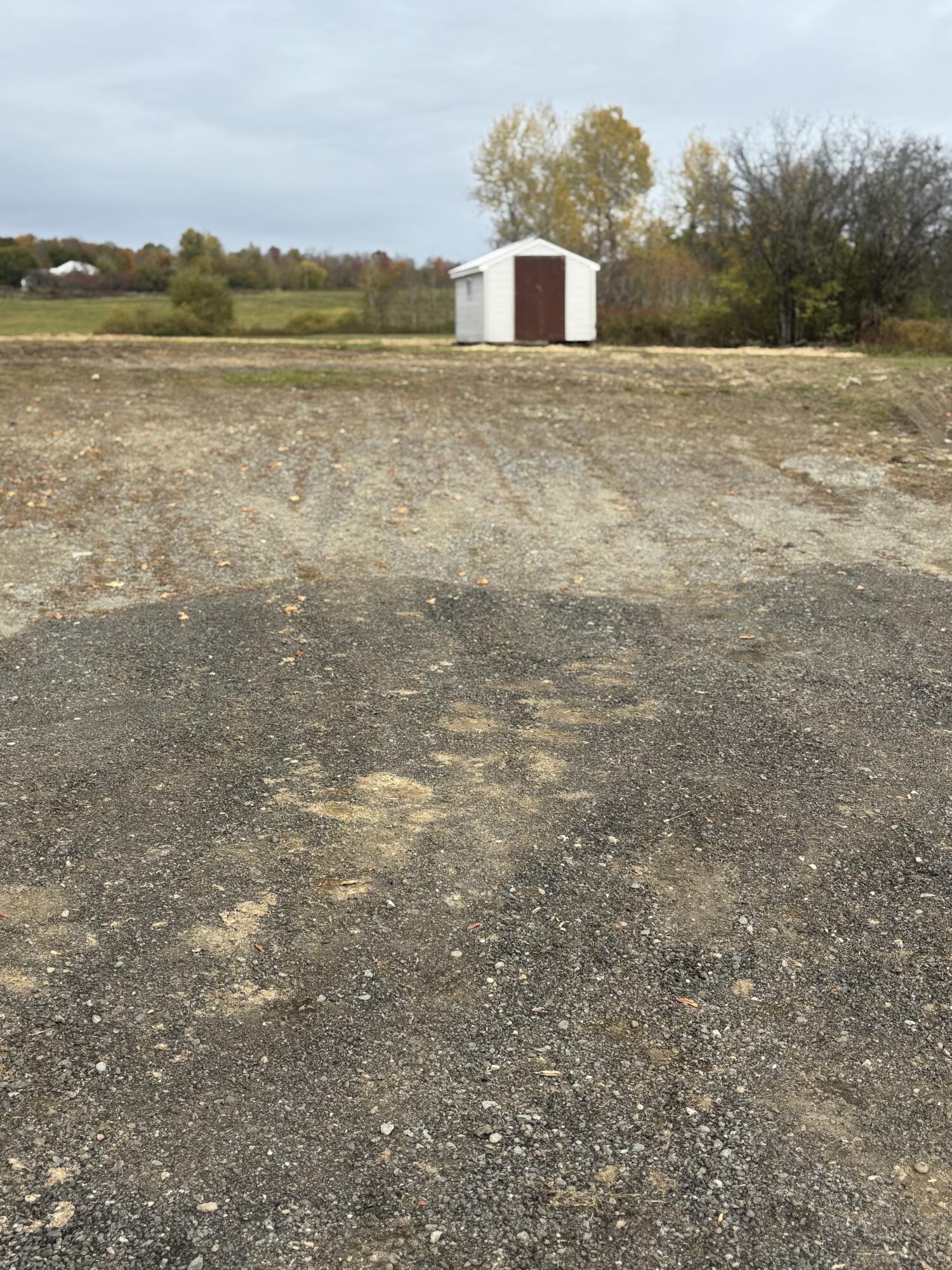 82 Back Road Property Photo 4