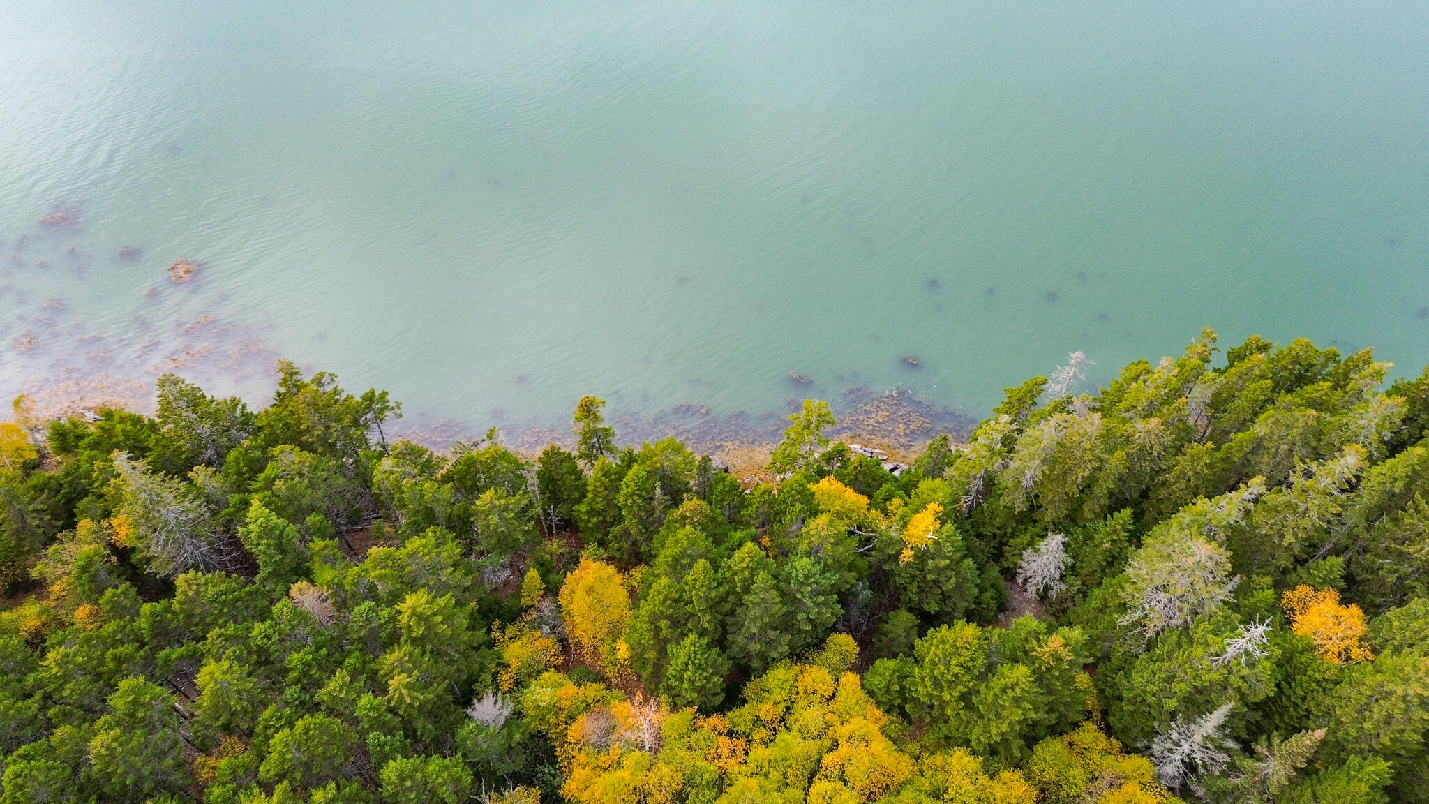 M2 Lot6-5b Nepp Point Rd Property Photo 6
