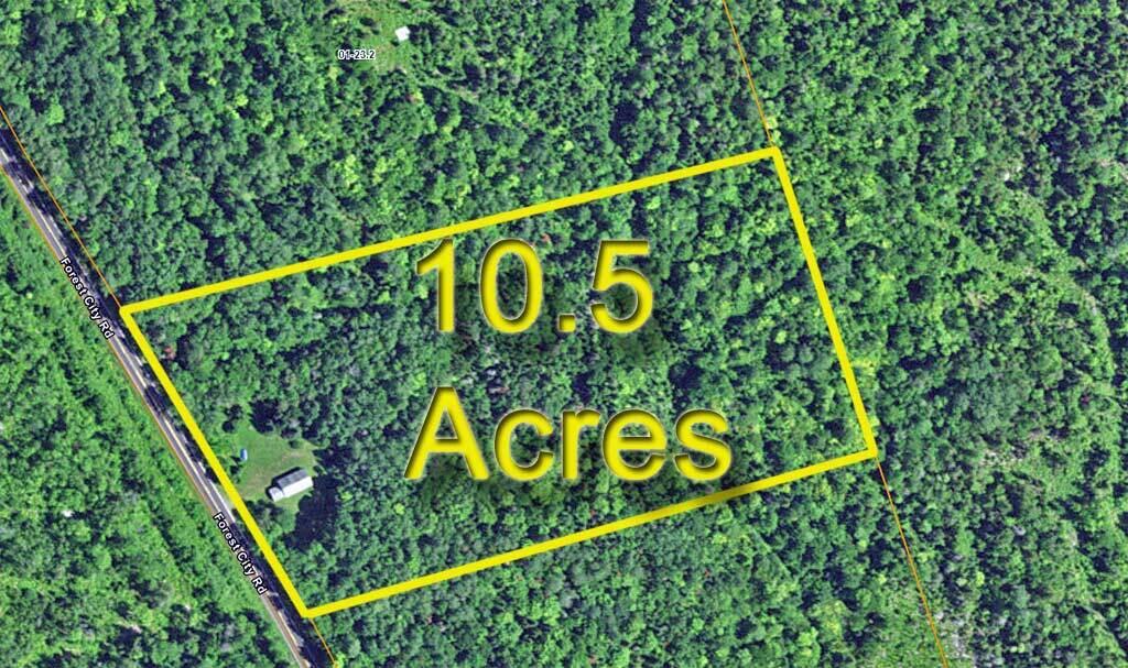 2053 Forest City Road Property Photo 6
