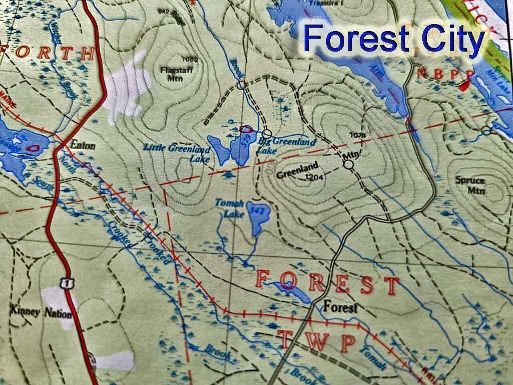 2053 Forest City Road Property Photo 7