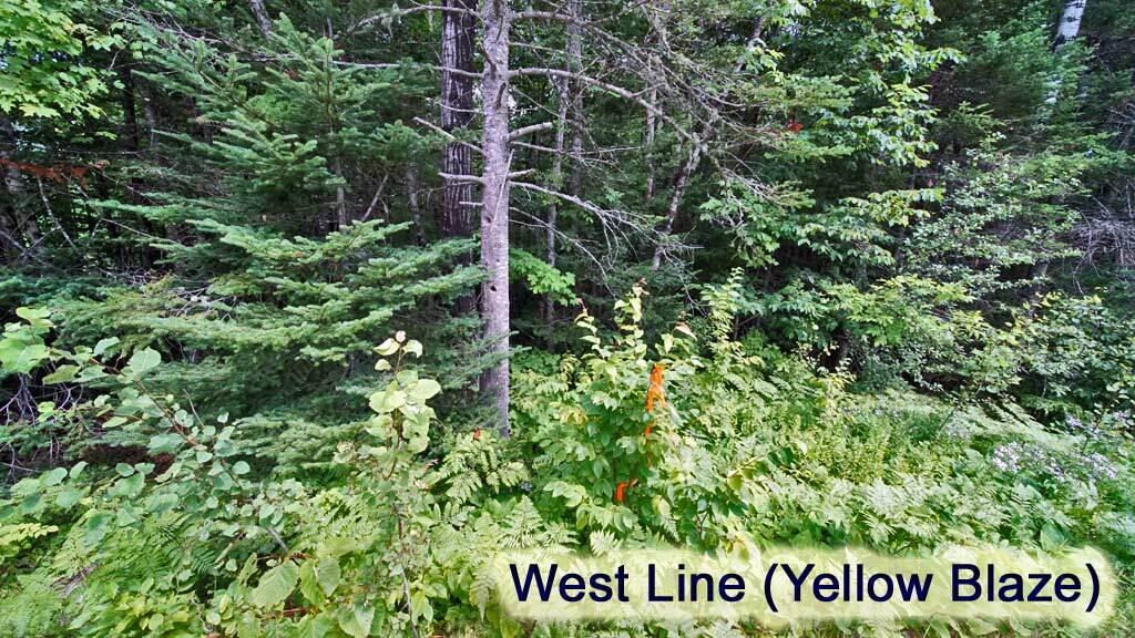 2053 Forest City Road Property Photo 51