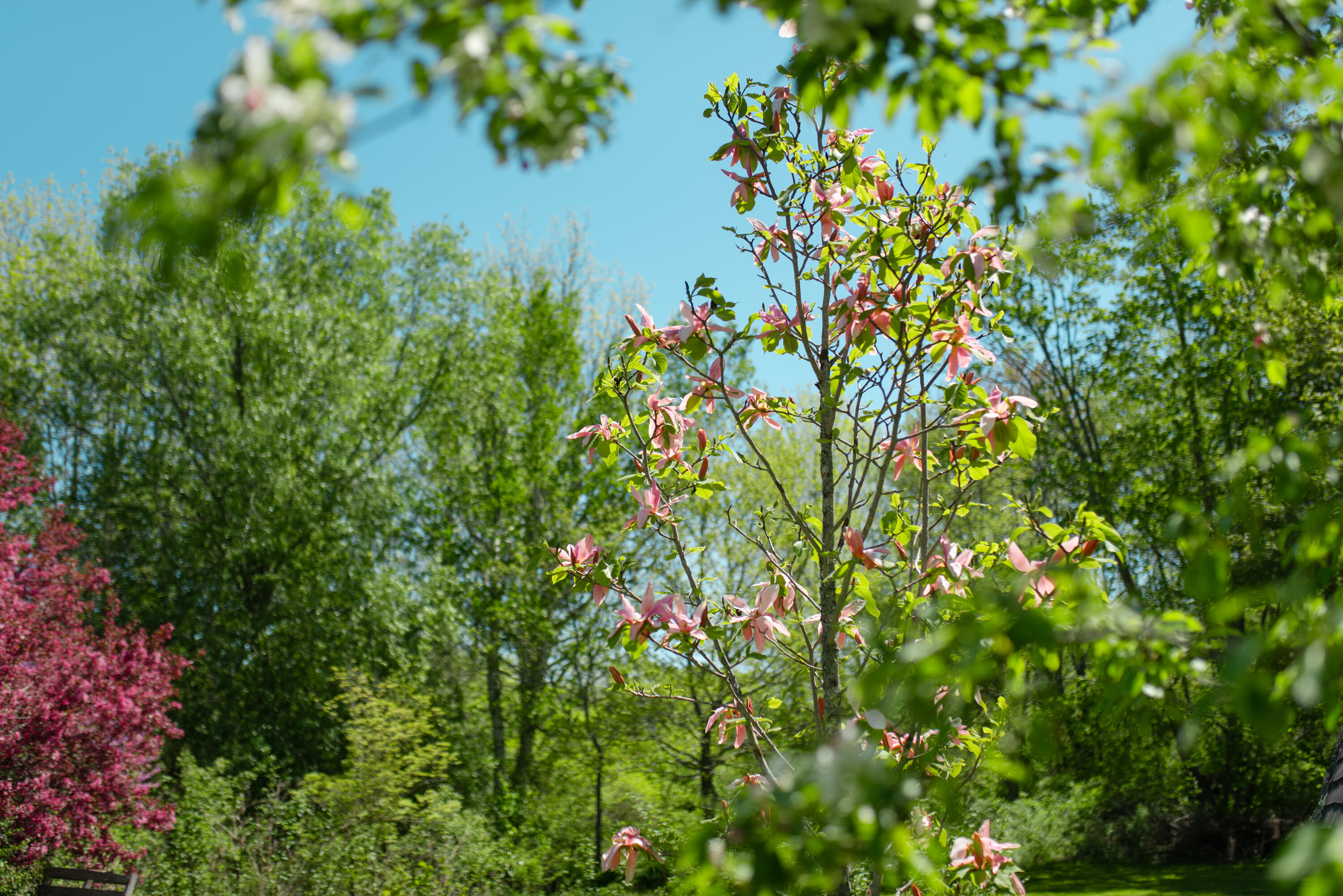 361 Waldoboro Road Property Photo 9