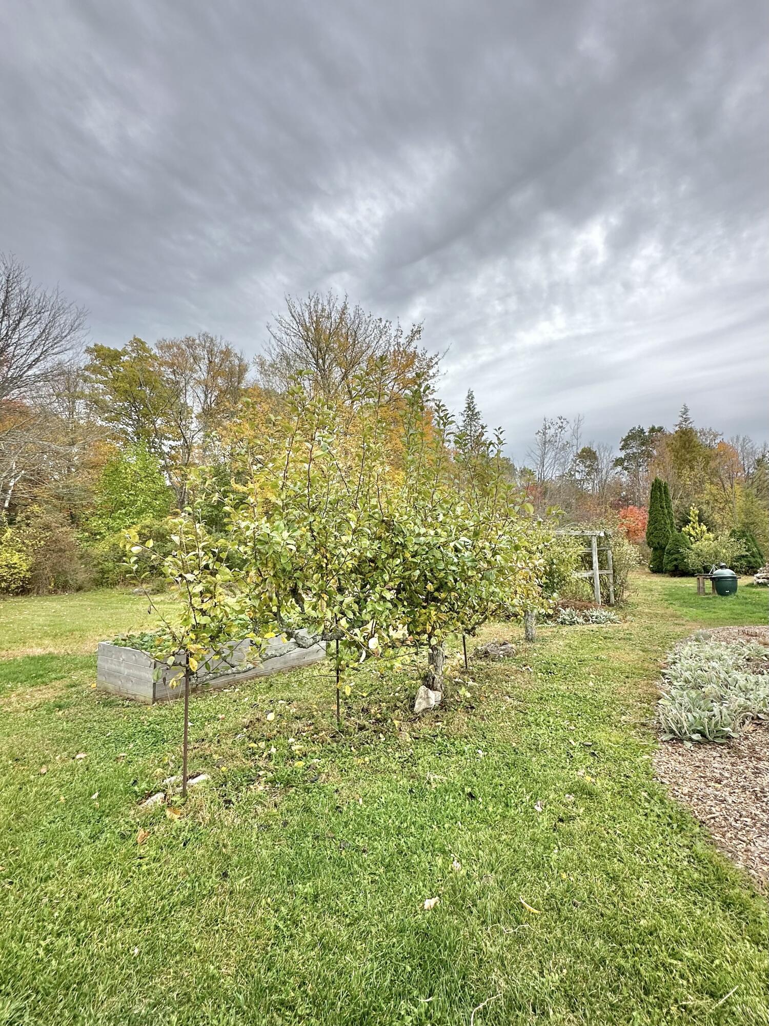 361 Waldoboro Road Property Photo 65