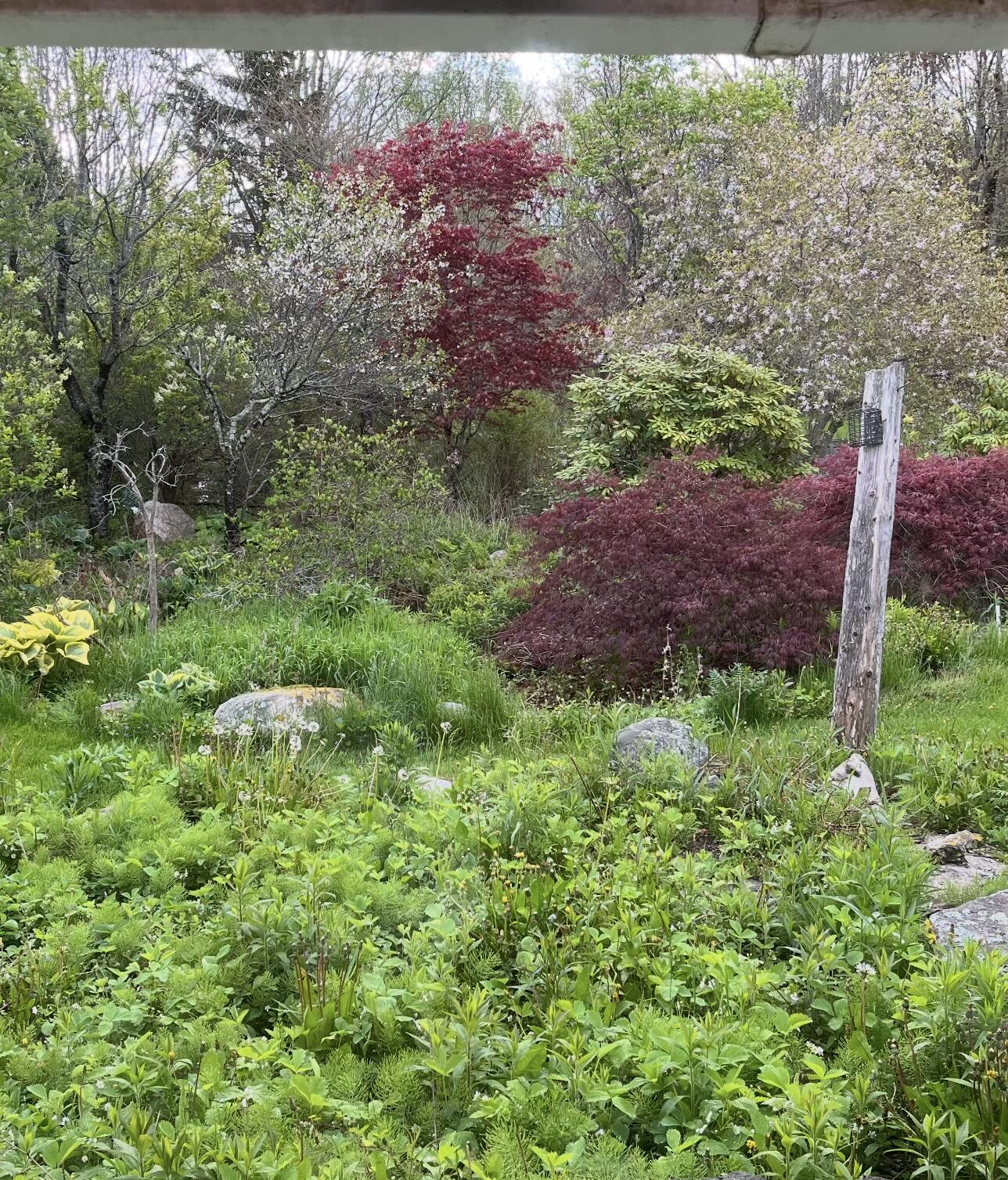 361 Waldoboro Road Property Photo 80