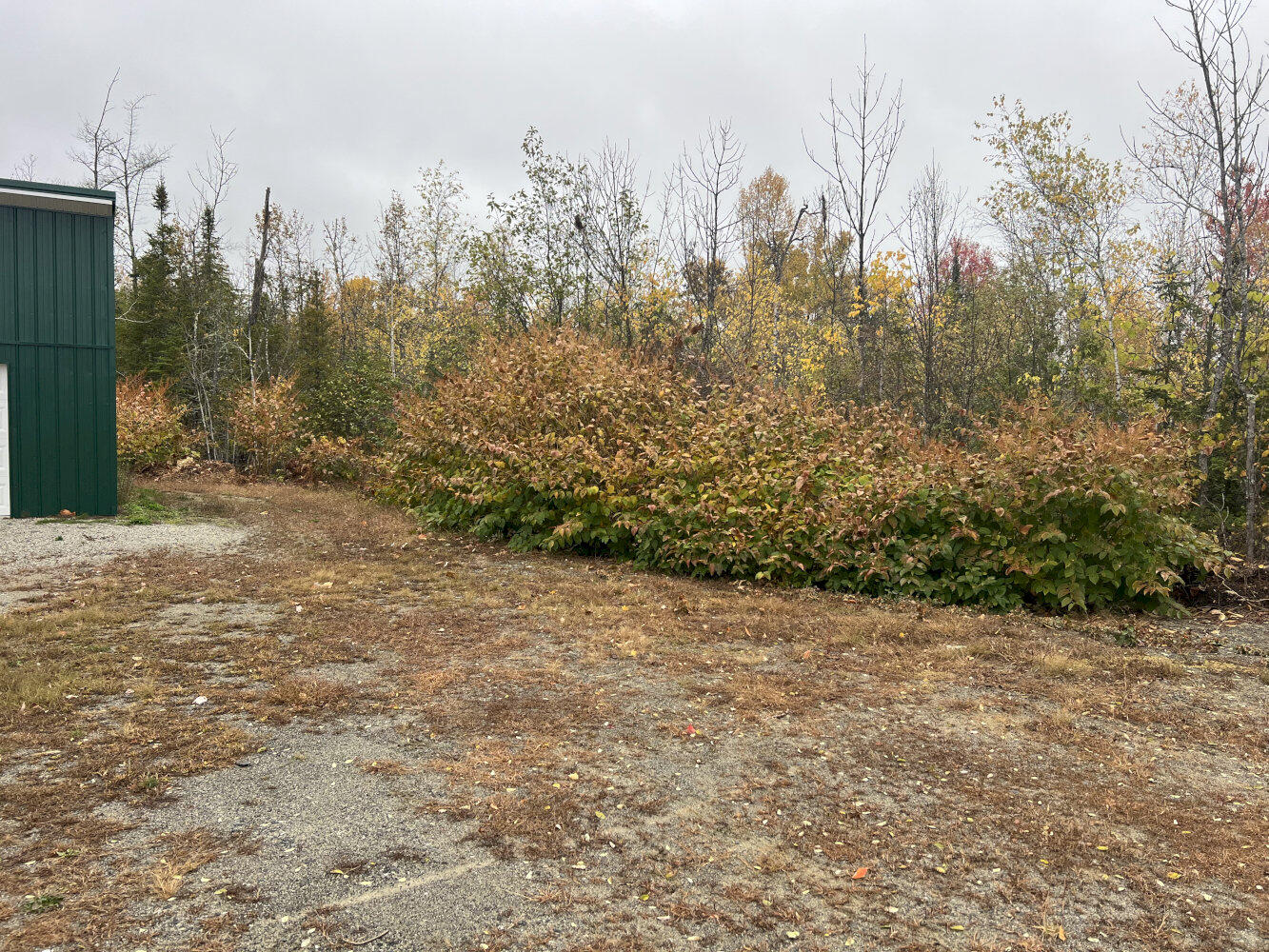 688 White School House Road Property Photo 4