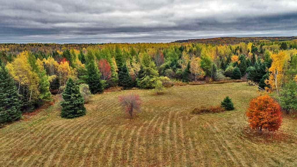 479 Harris Hill Road Property Photo 30