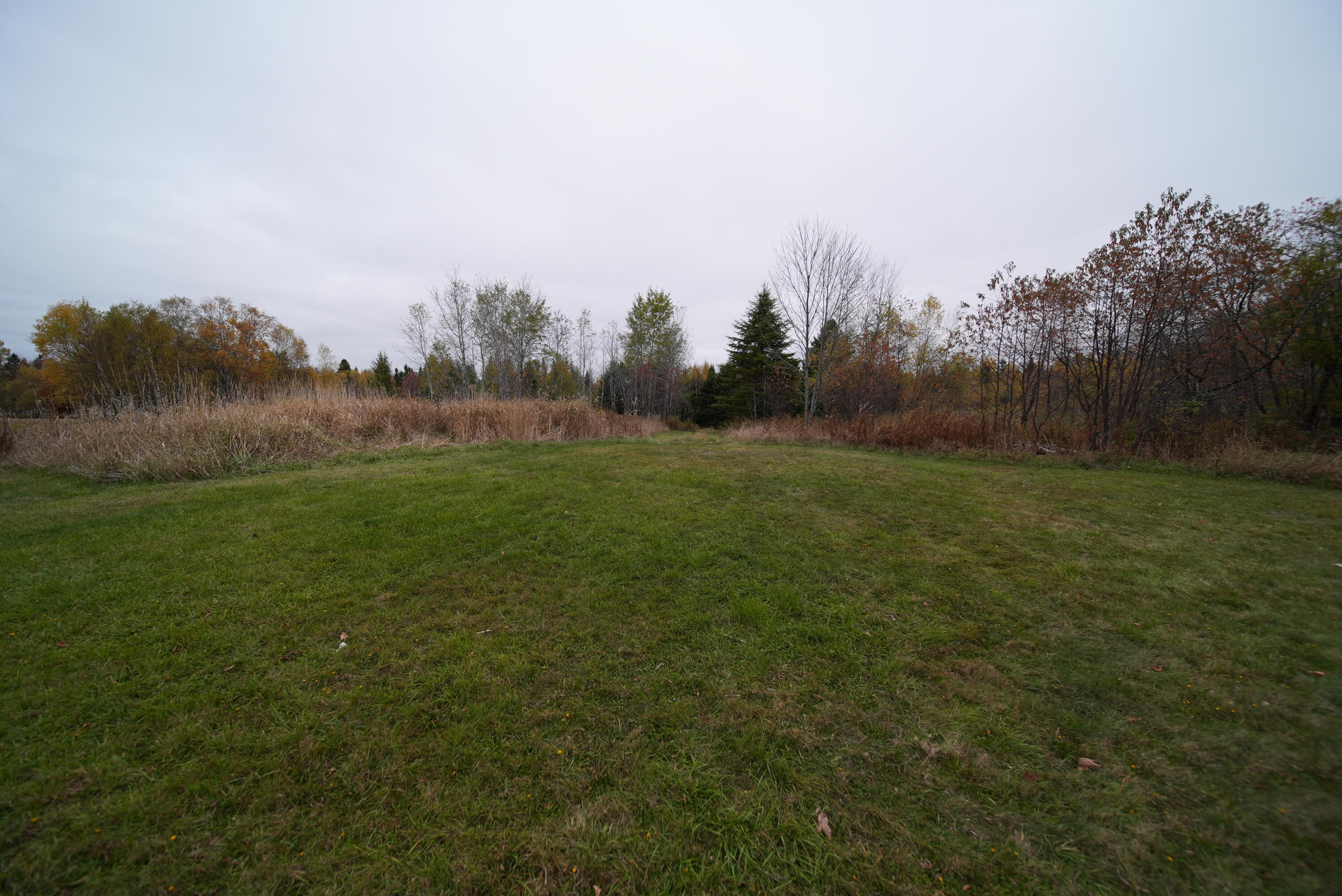 479 Harris Hill Road Property Photo 36