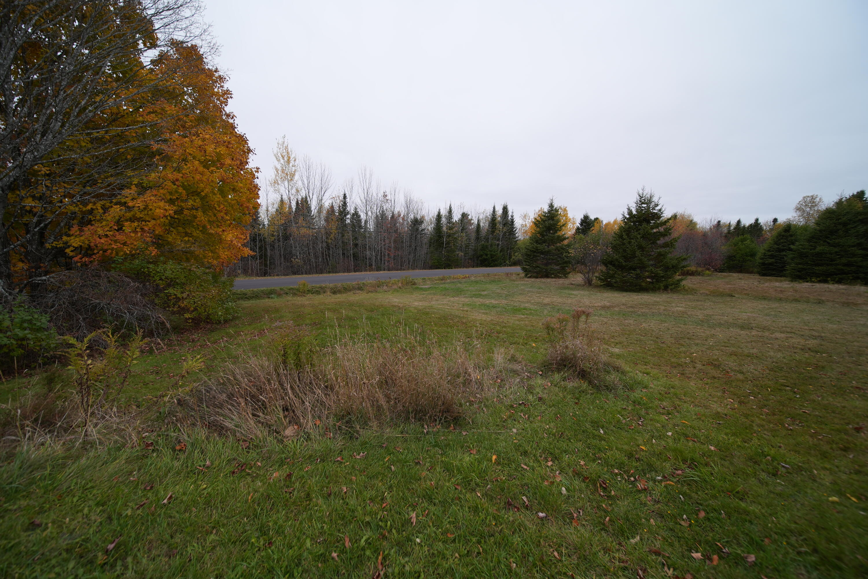 479 Harris Hill Road Property Photo 39