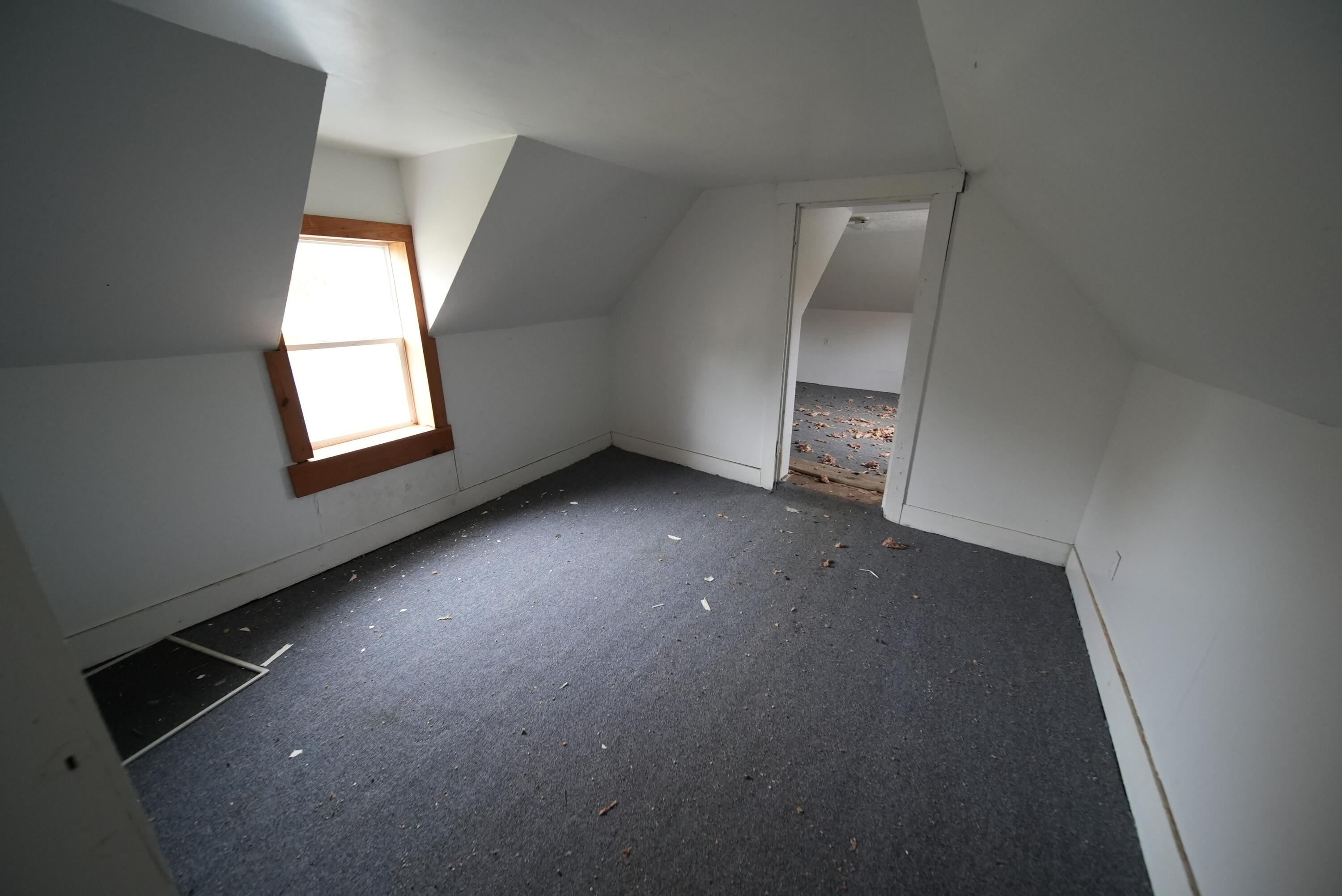 479 Harris Hill Road Property Photo 55