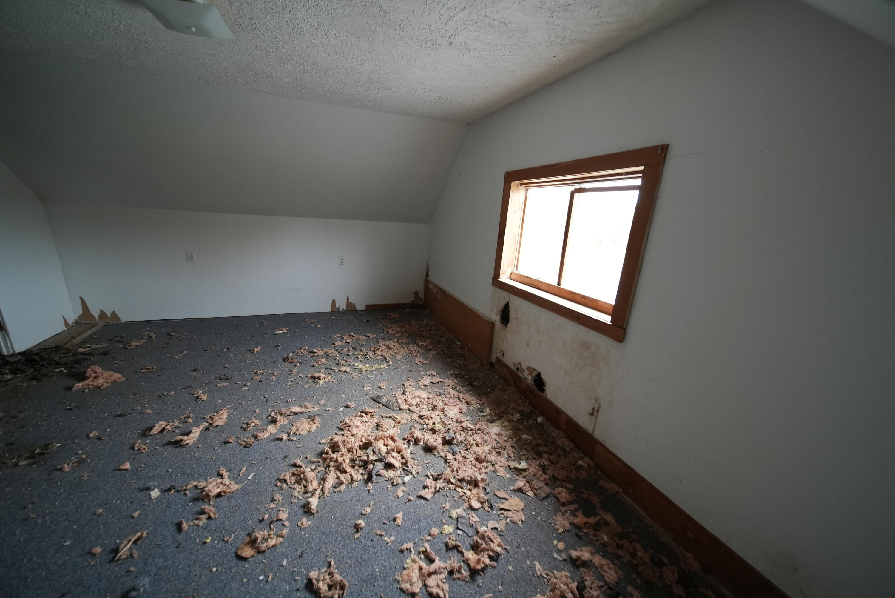 479 Harris Hill Road Property Photo 56