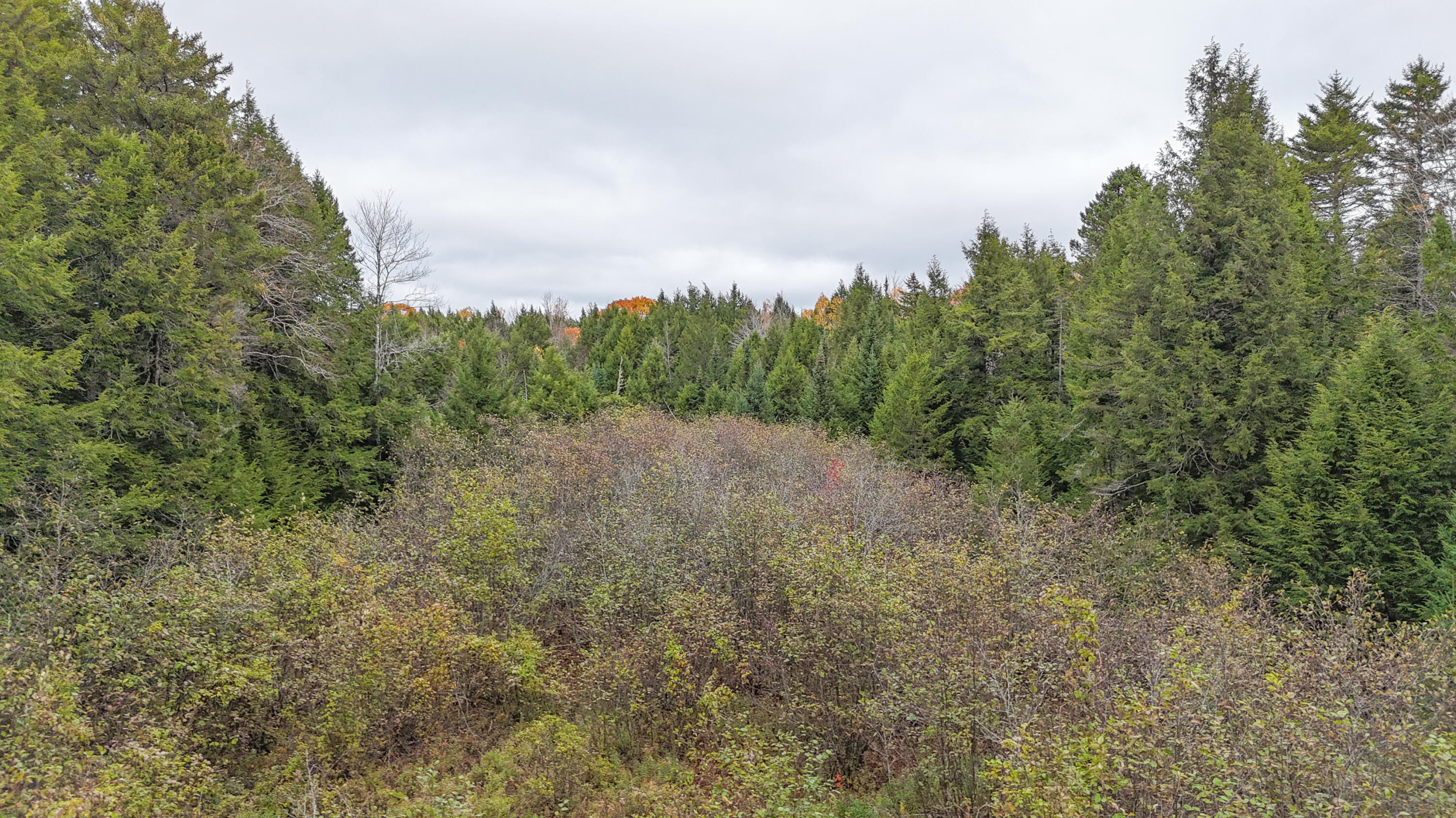 Lot 3-b West Branch Road Property Photo 6