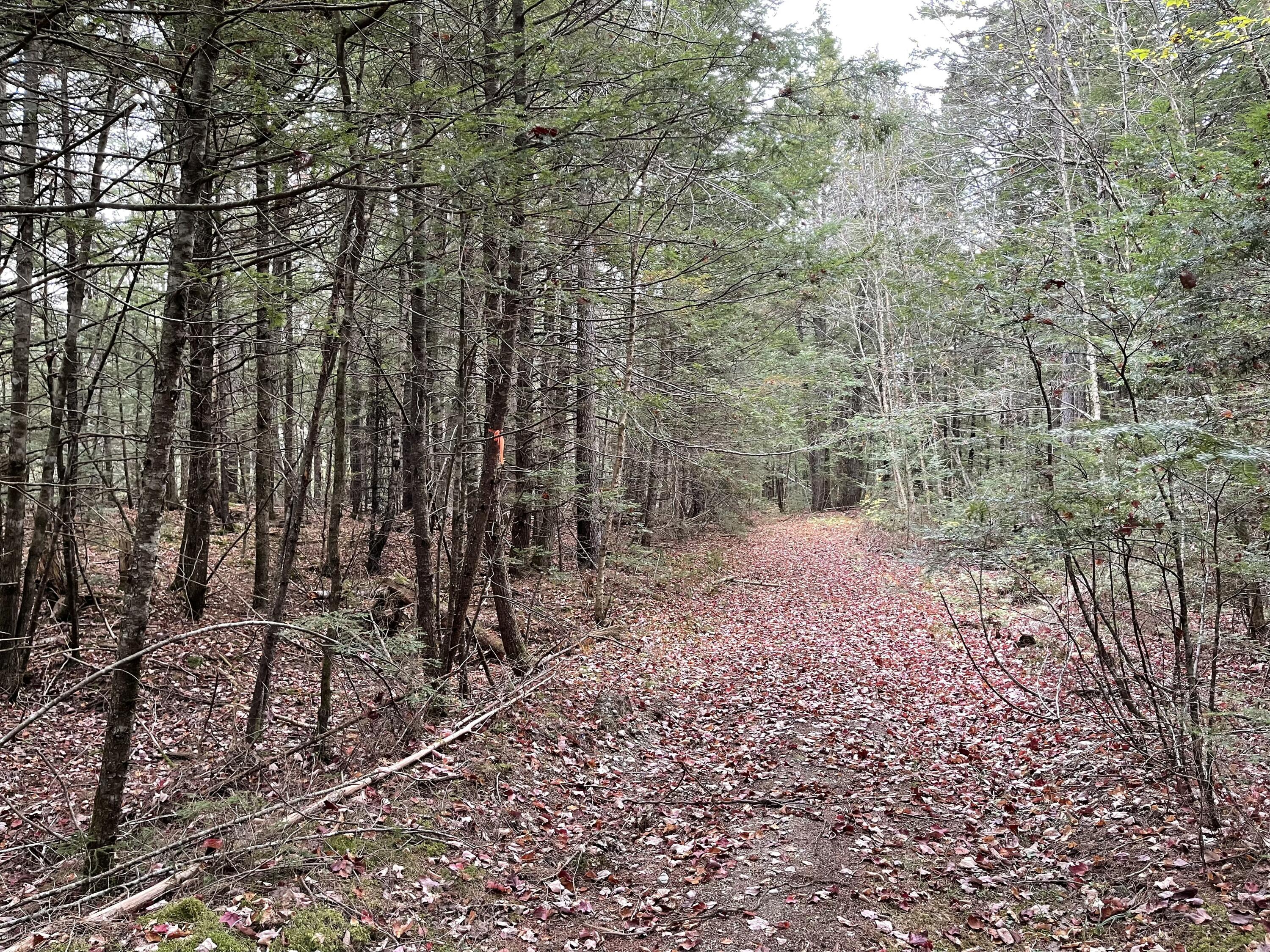 Lot 3-b West Branch Road Property Photo 8