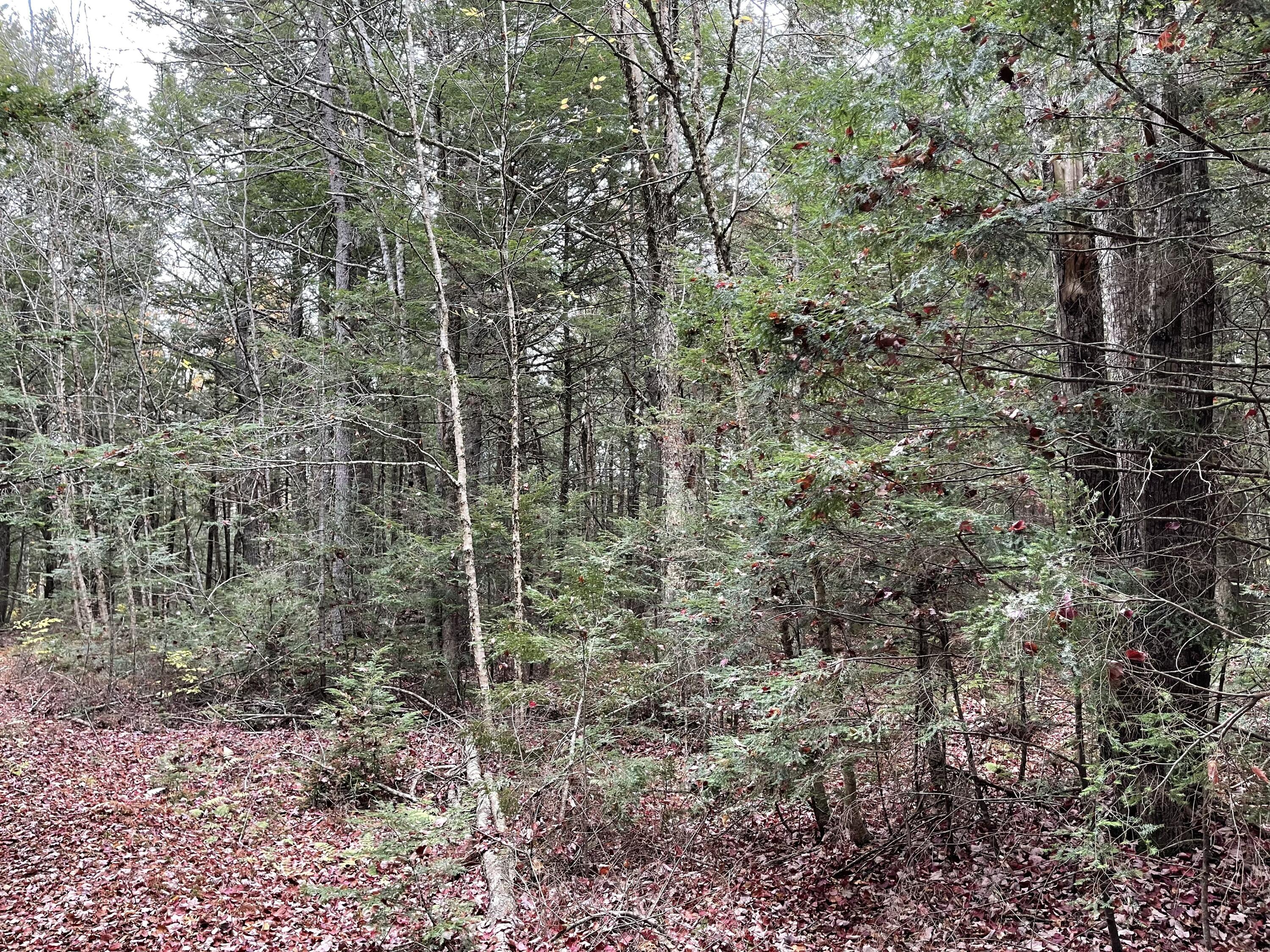 Lot 3-b West Branch Road Property Photo 9