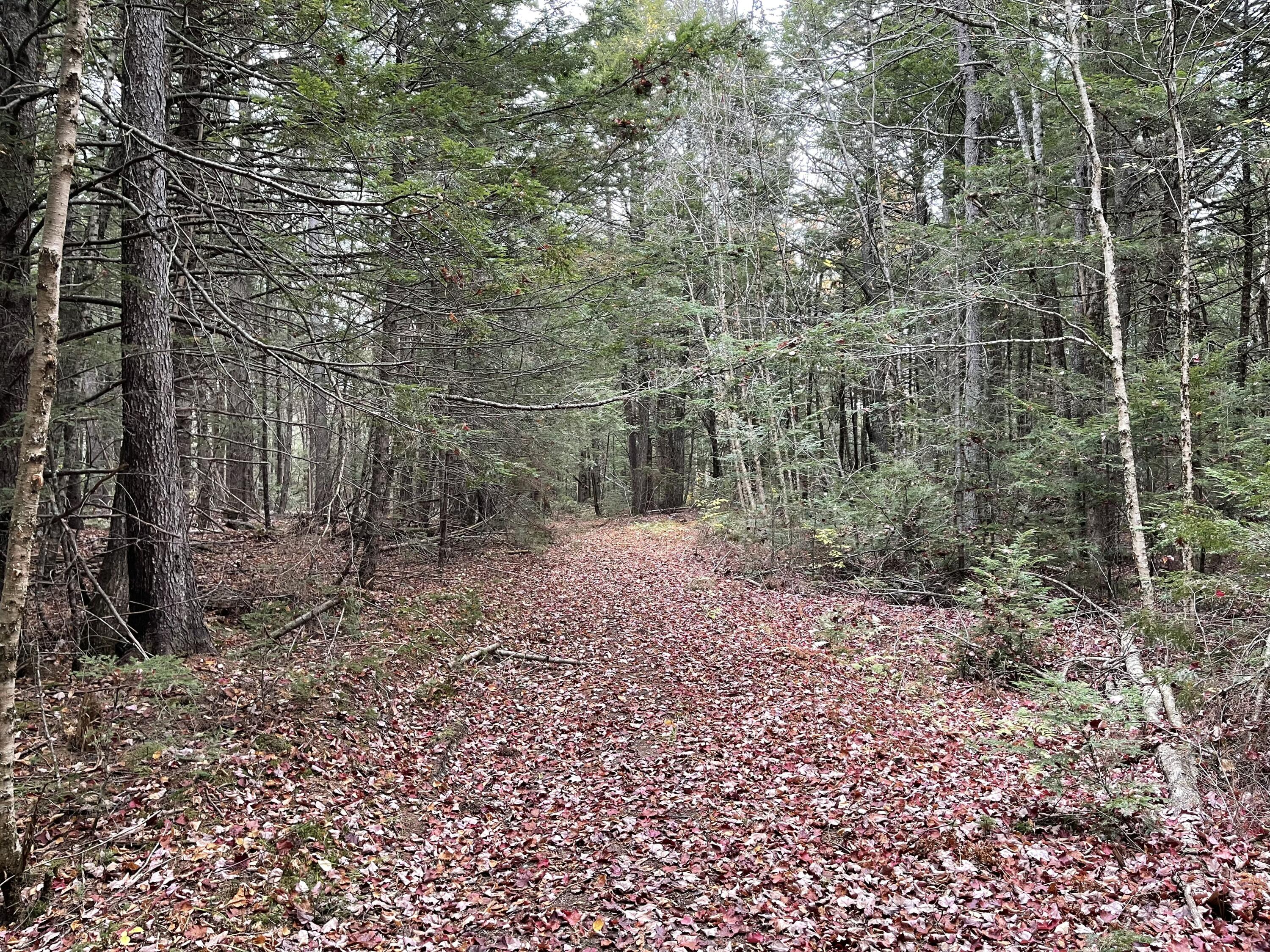 Lot 3-b West Branch Road Property Photo 11