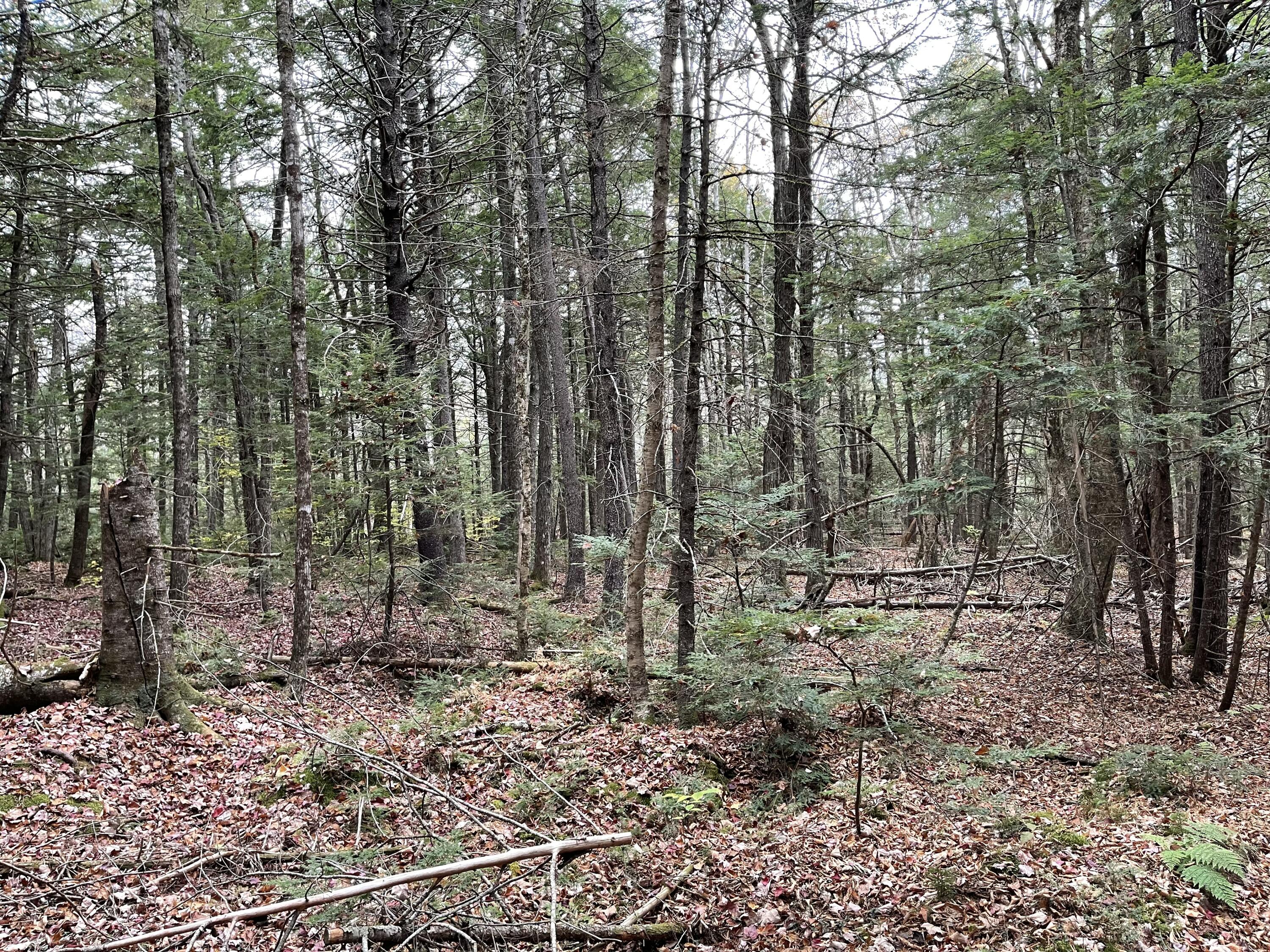 Lot 3-b West Branch Road Property Photo 13