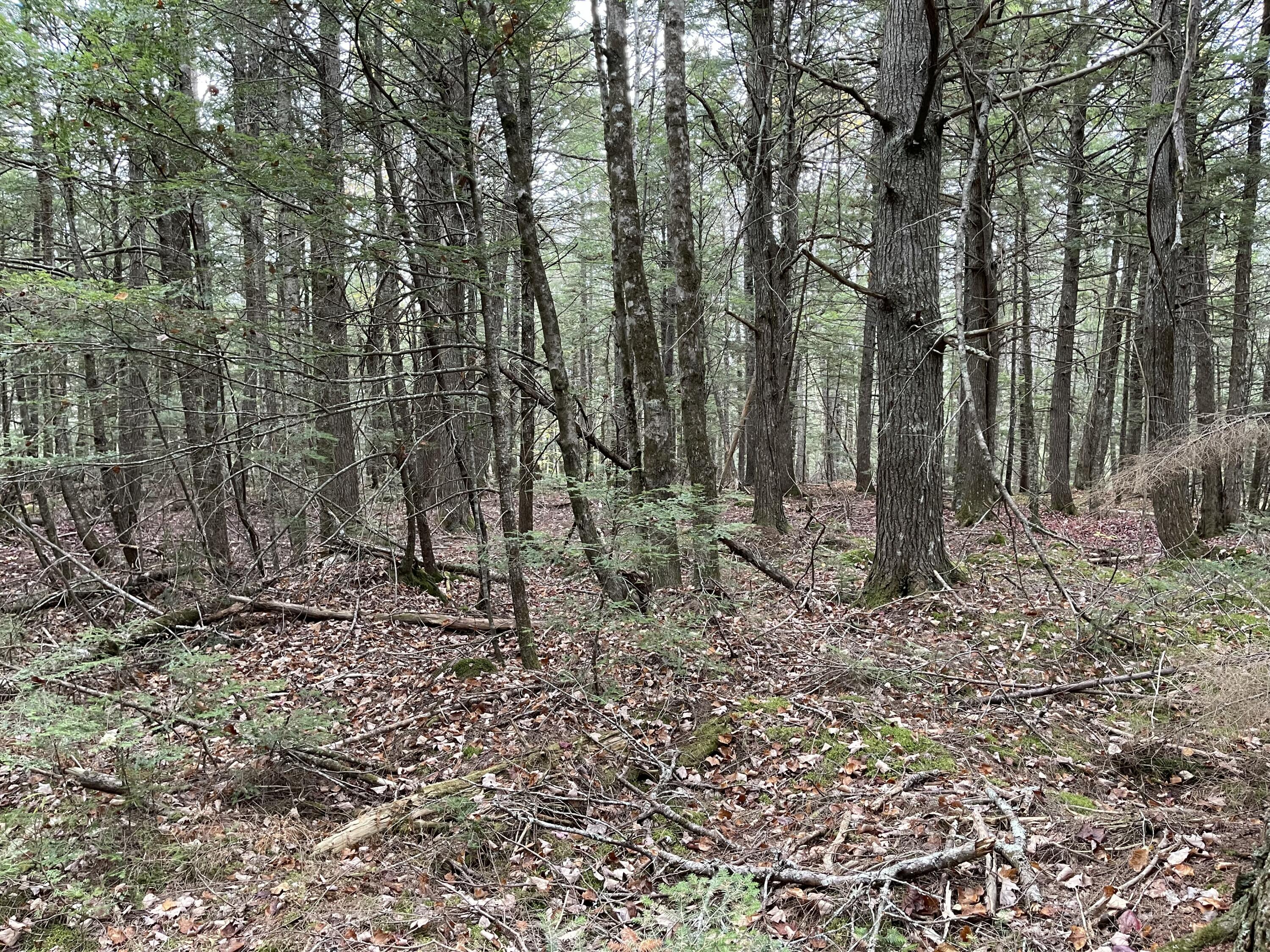 Lot 3-b West Branch Road Property Photo 16