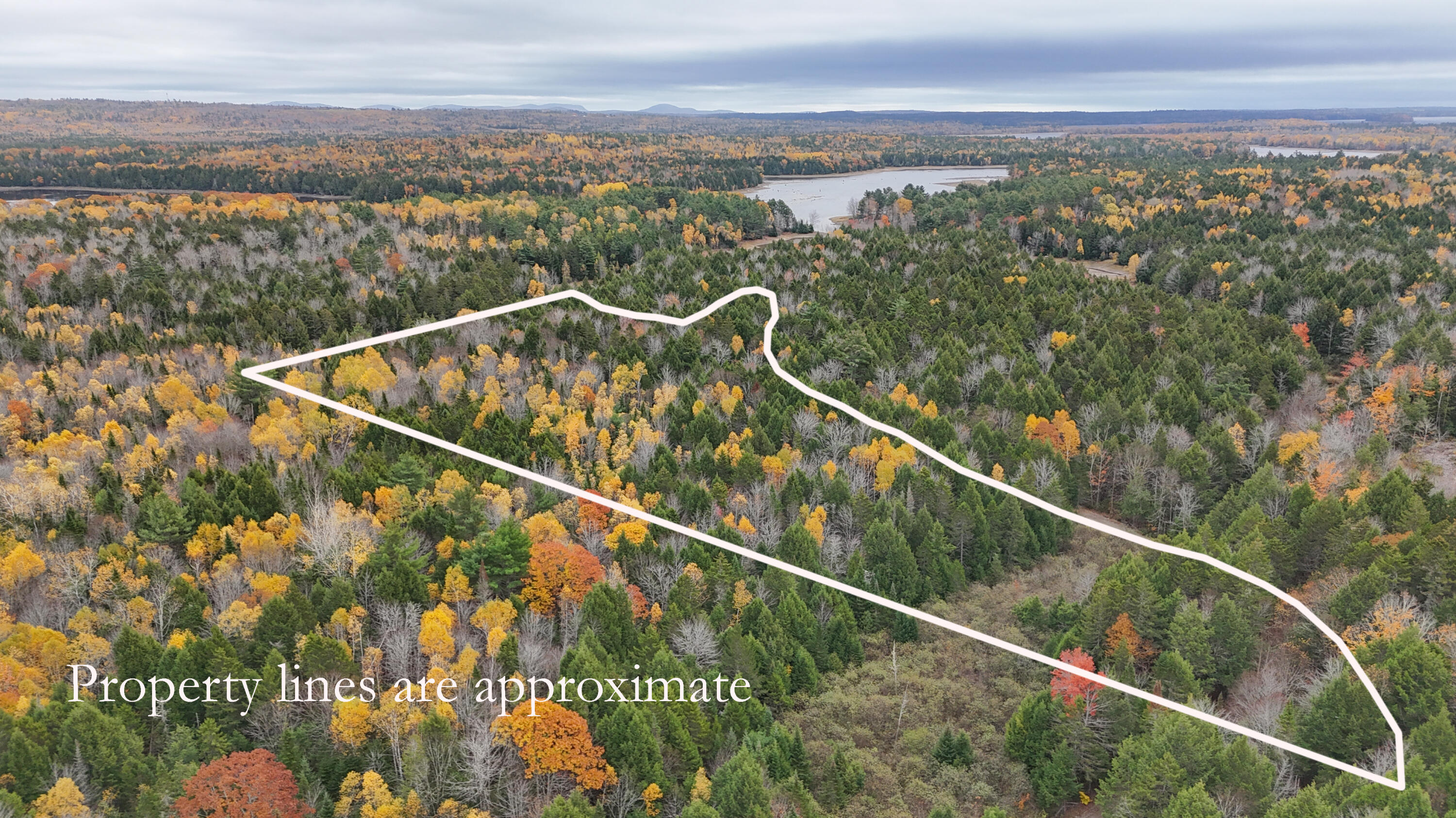 Lot 3-b West Branch Road Property Photo 30