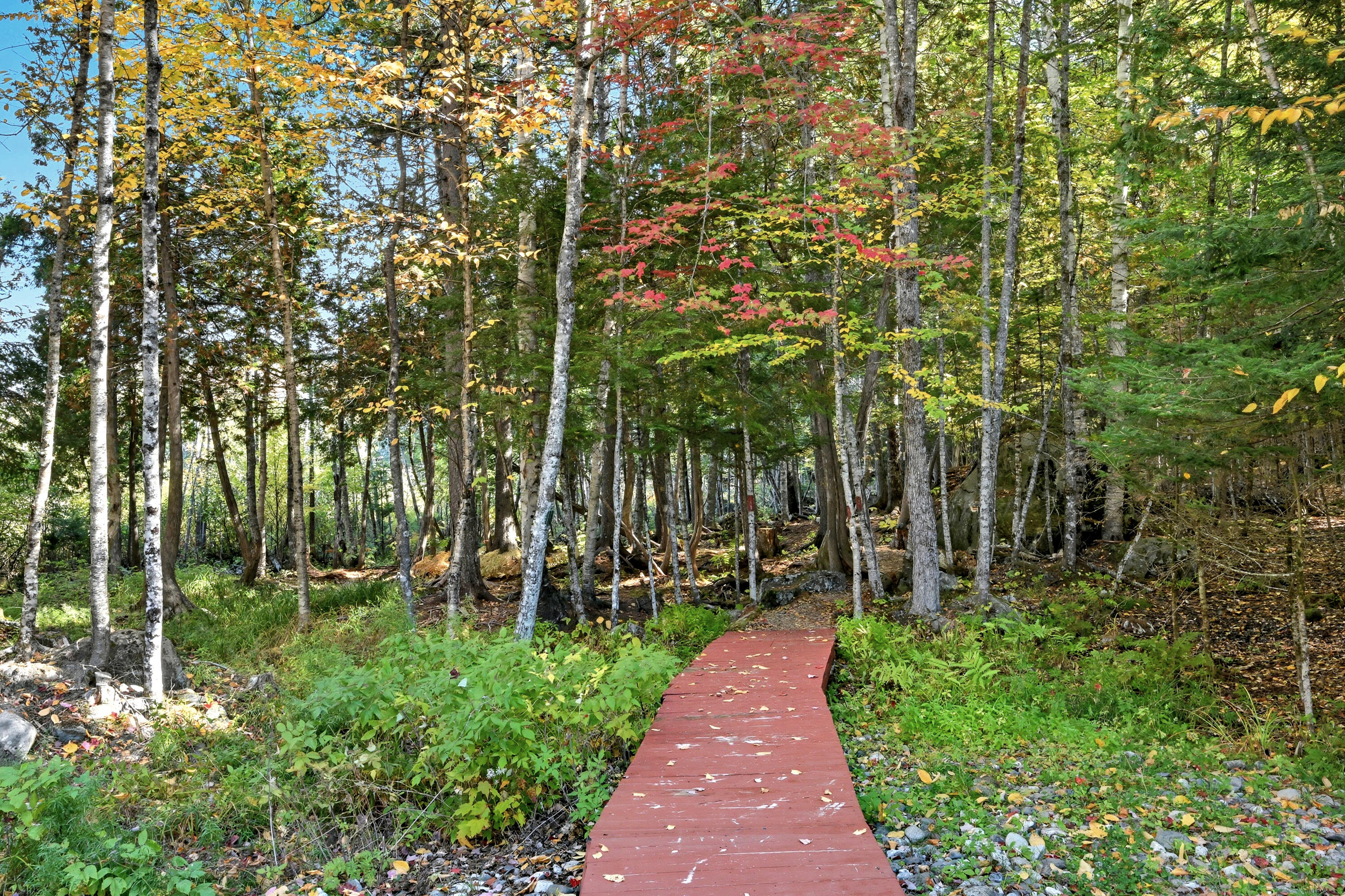 20 Toms Trail Property Photo 62