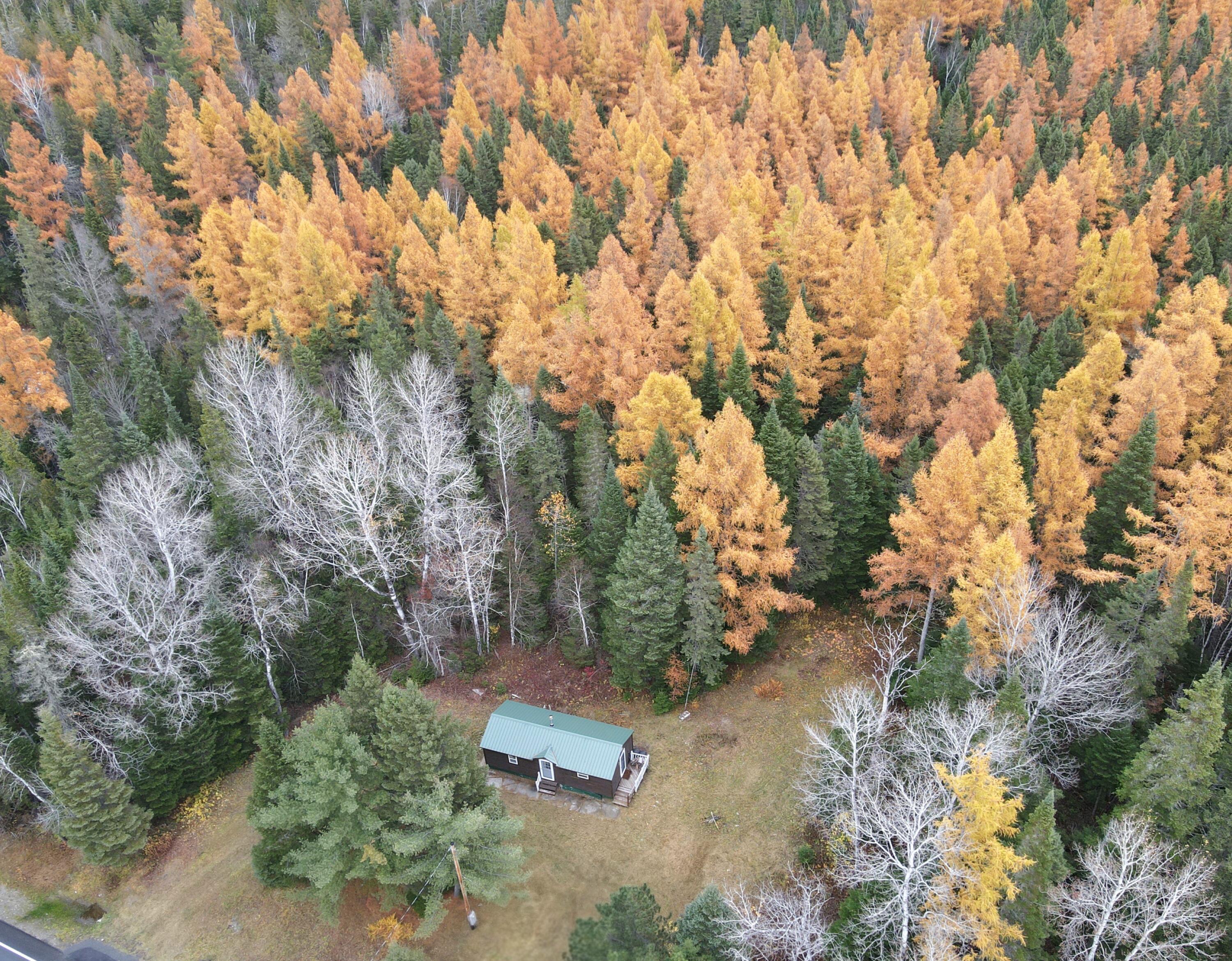 839 New Sweden Road Property Photo 1