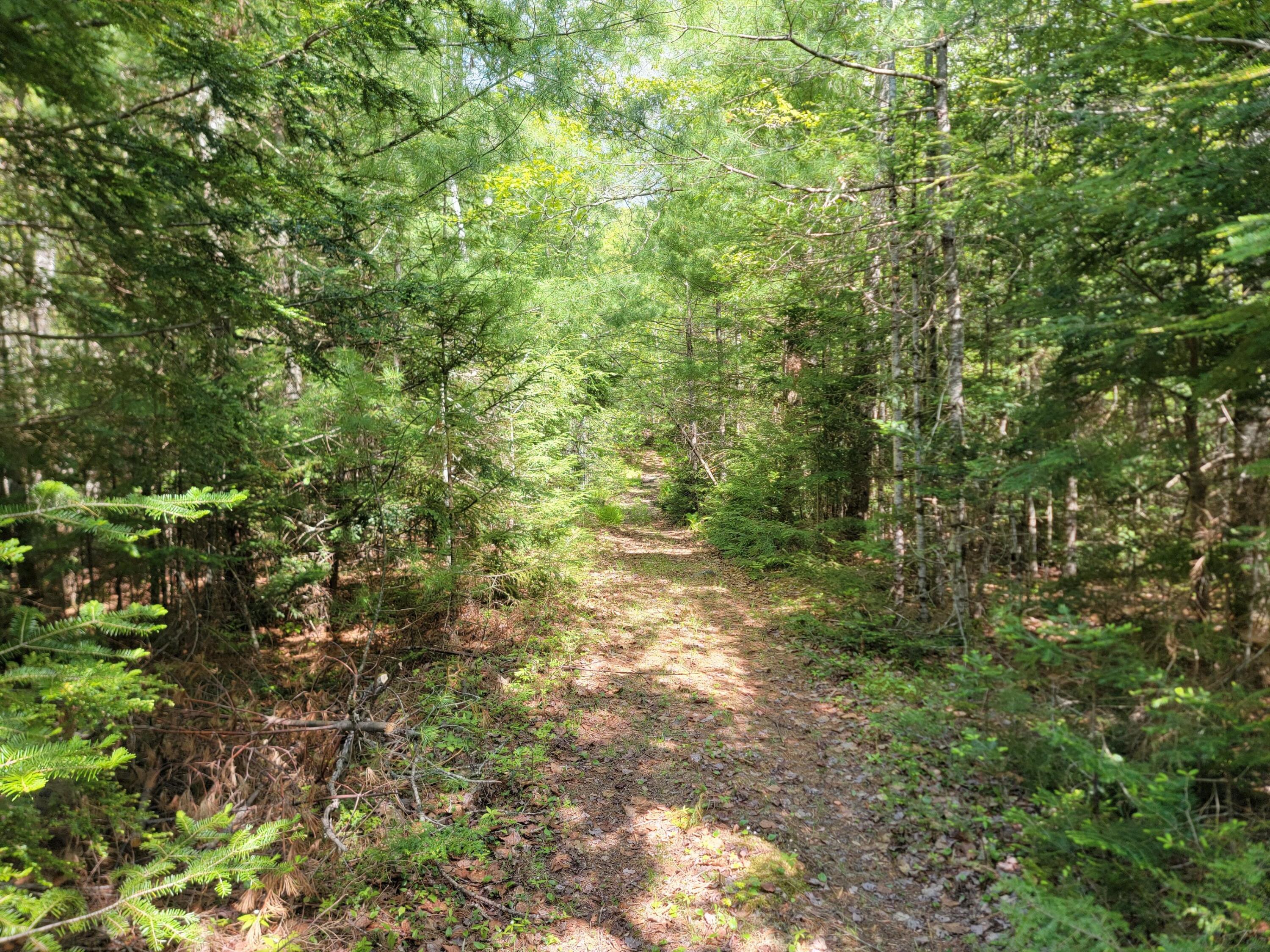 00 W Appleton Road Property Photo 13