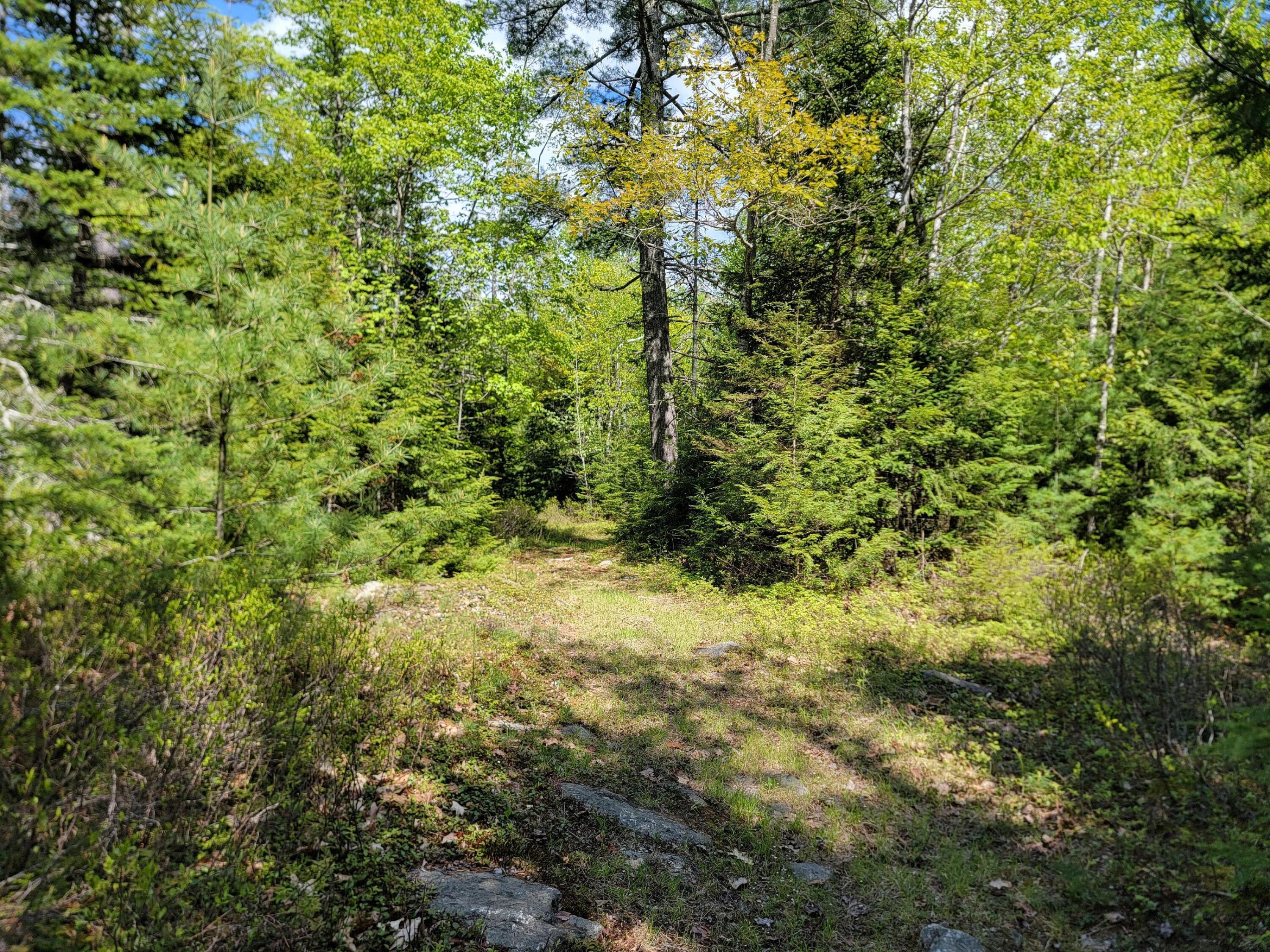 00 W Appleton Road Property Photo 14