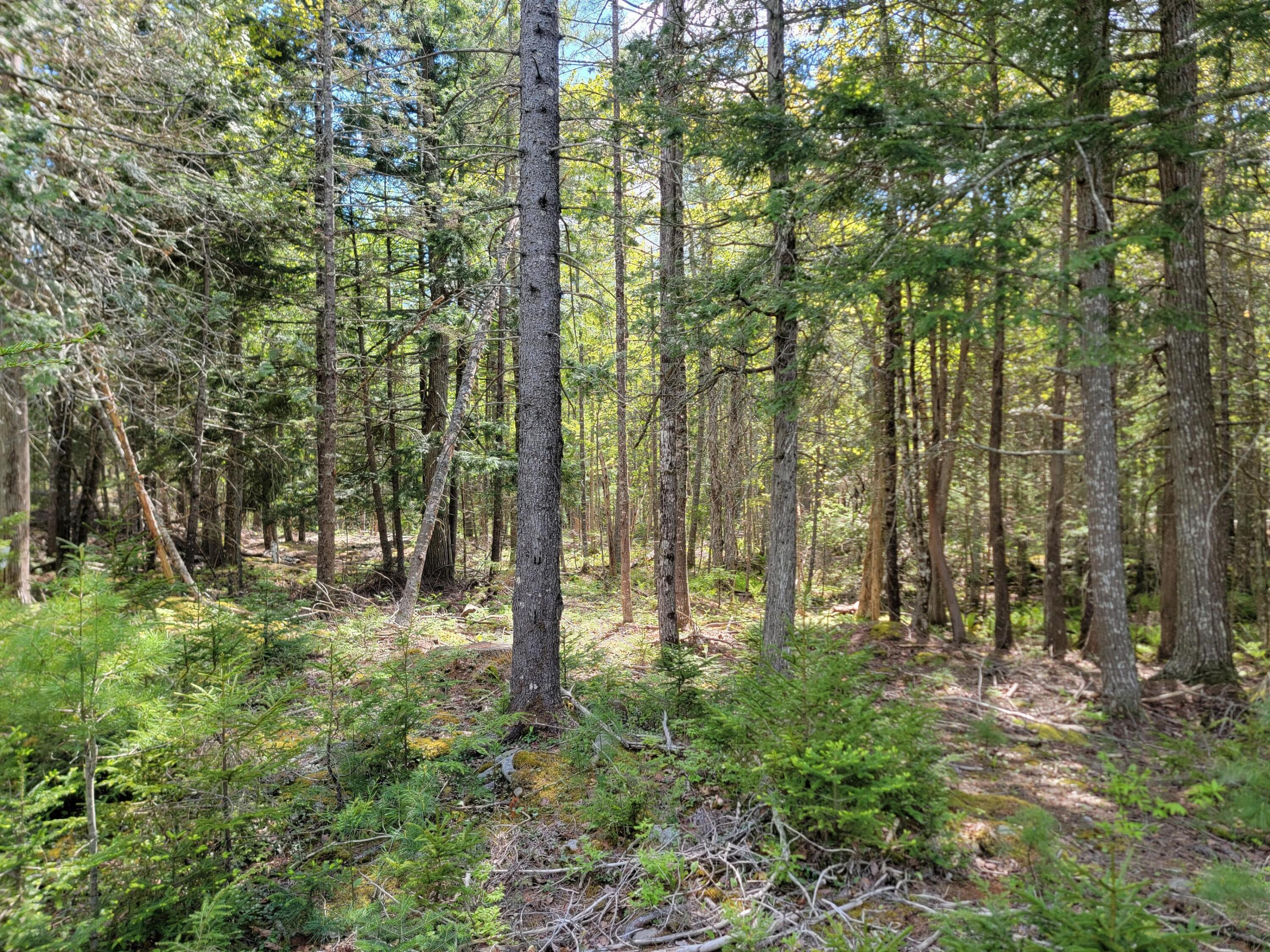 00 W Appleton Road Property Photo 17