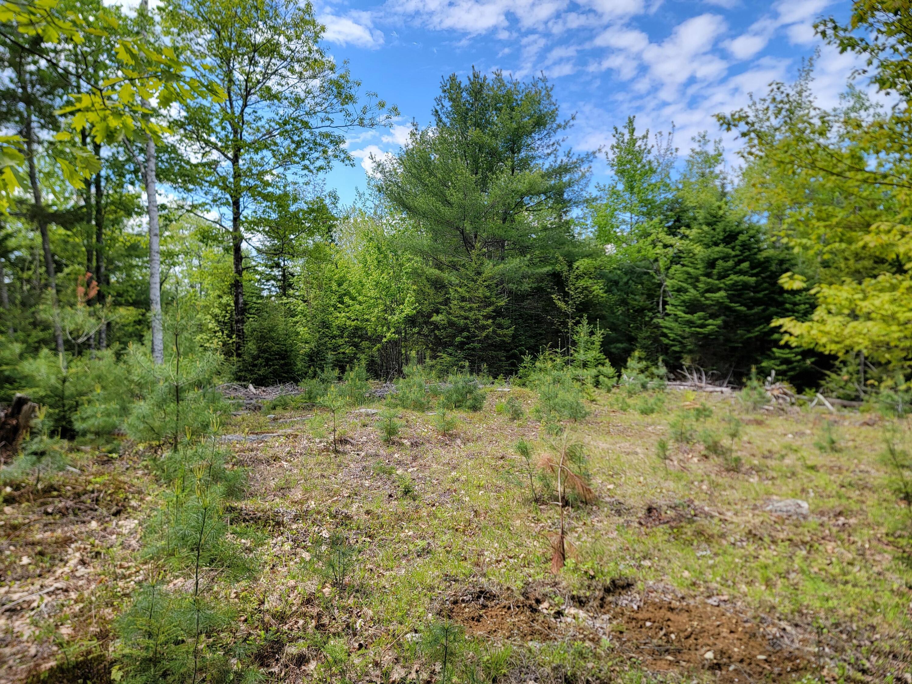 00 W Appleton Road Property Photo 22