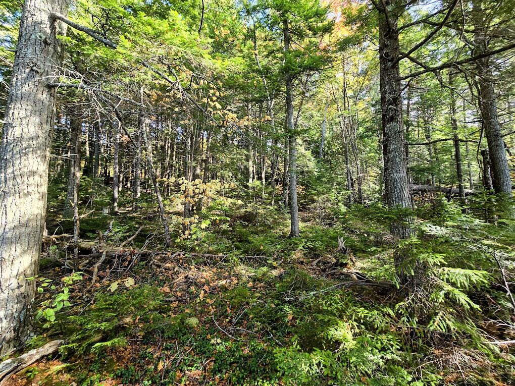 440 Railroad Bed Road Property Photo 12