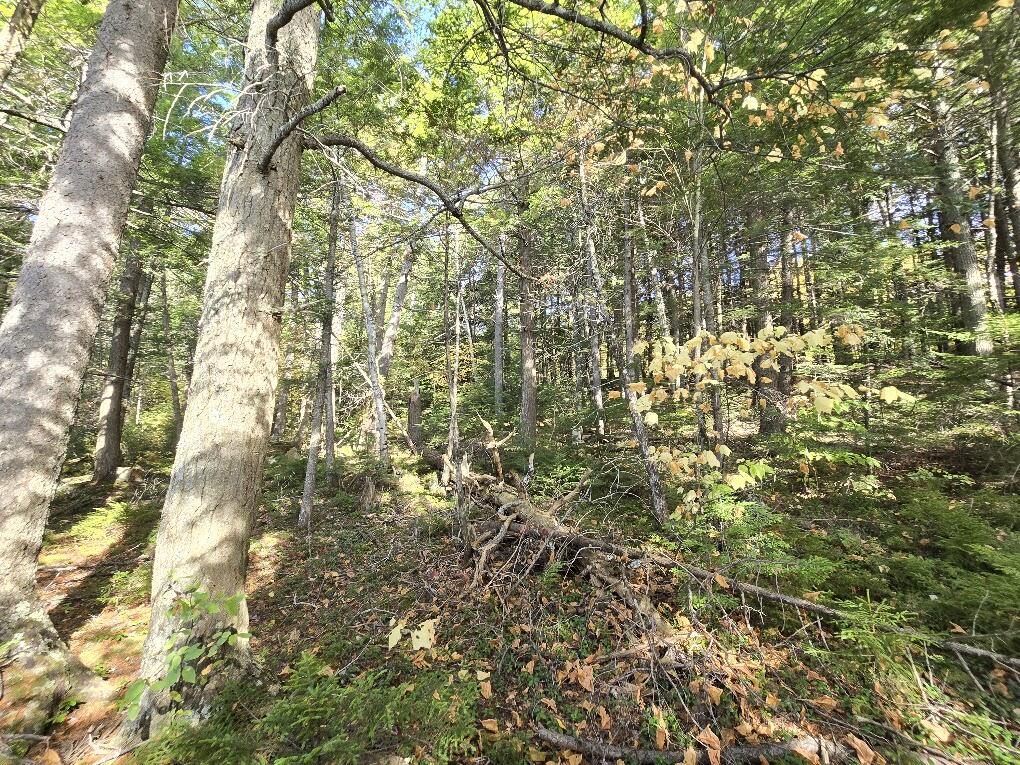440 Railroad Bed Road Property Photo 15