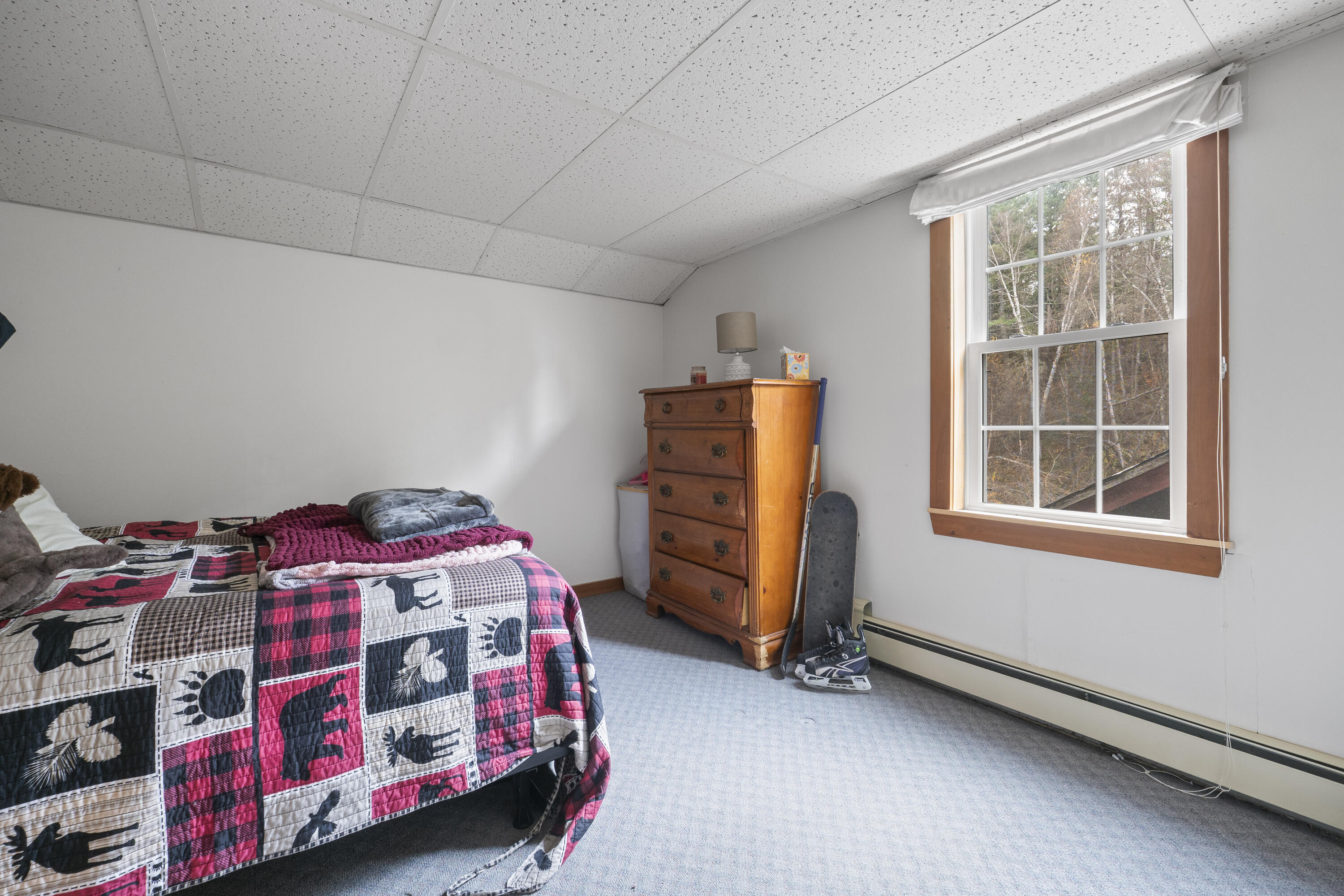 54 Eustis Village Road Property Photo 43