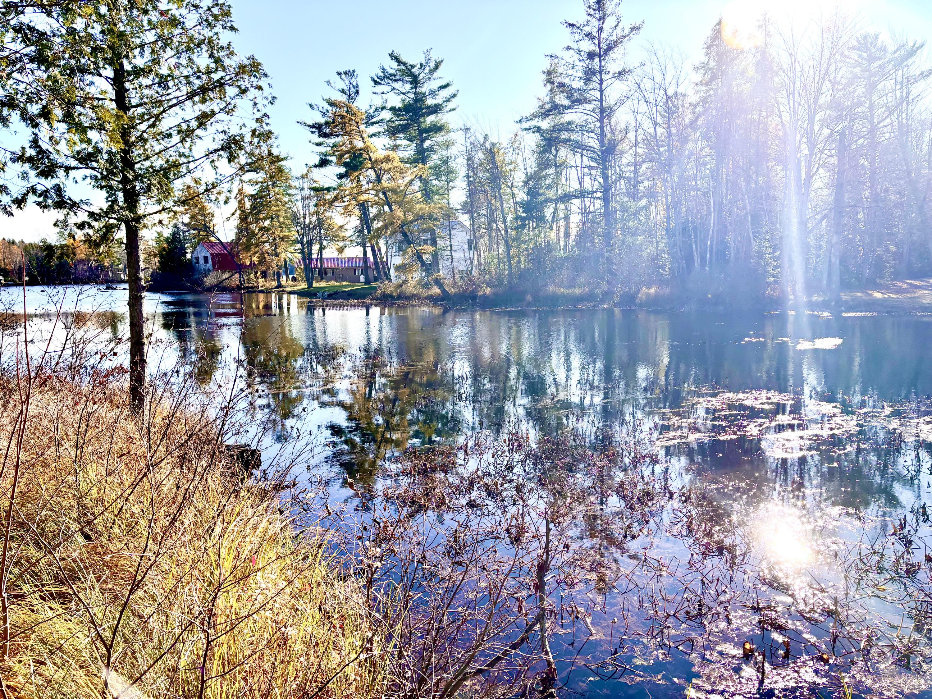 626 Millinocket Lake Road Property Photo 8