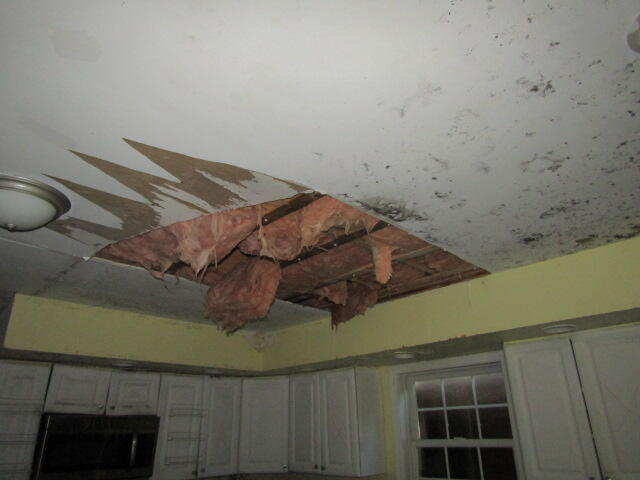 55 Londonderry Lane Property Photo 11