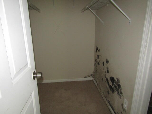 55 Londonderry Lane Property Photo 23