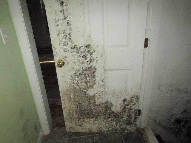 55 Londonderry Lane Property Photo 26