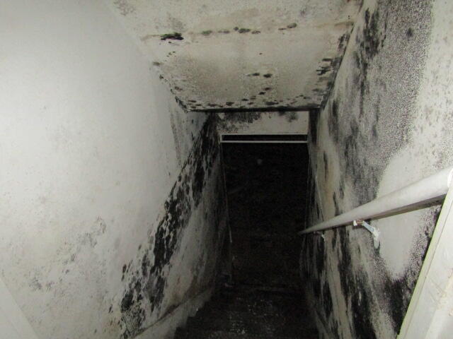 55 Londonderry Lane Property Photo 27