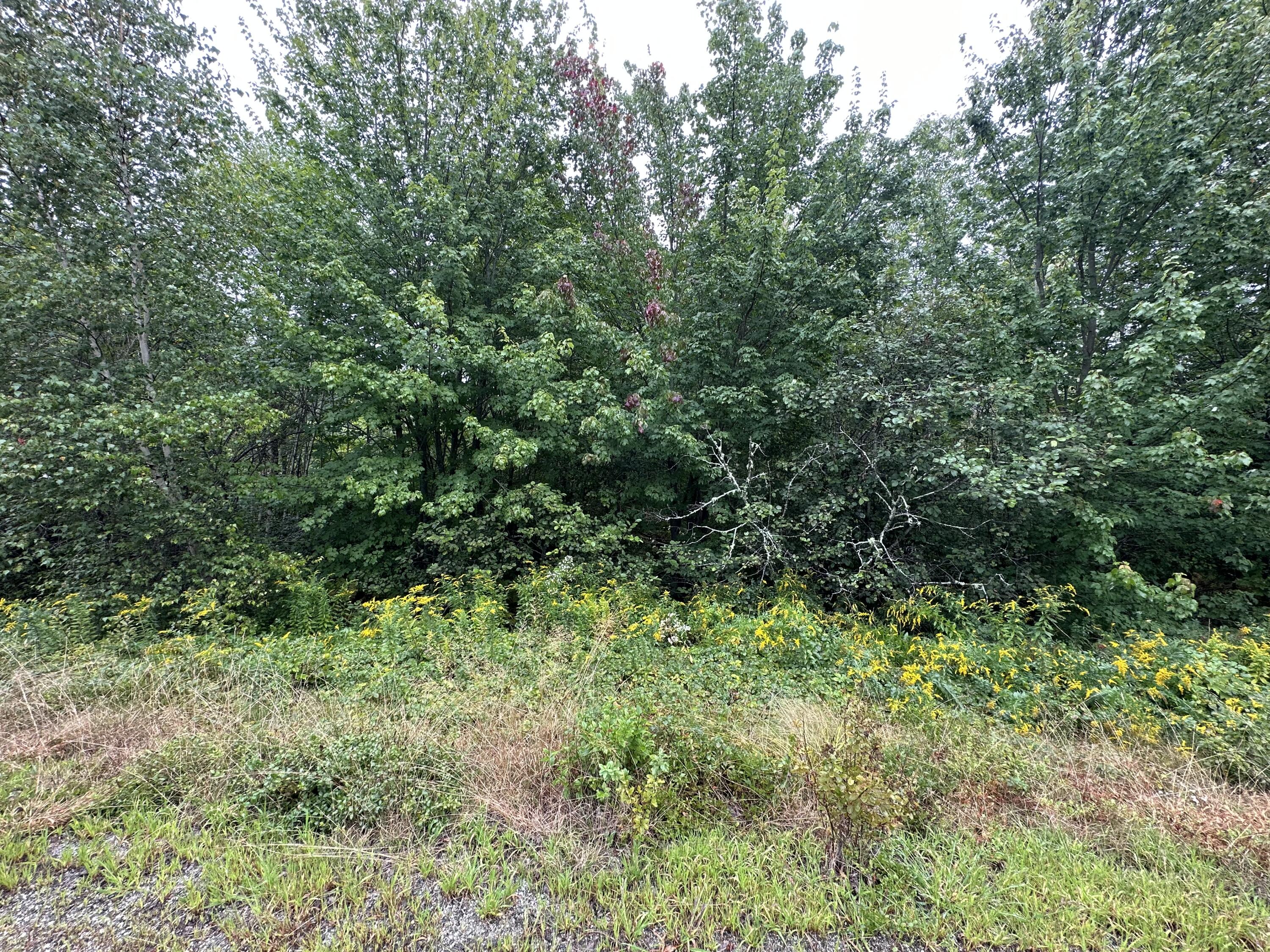 4 Addie Road Property Photo 4