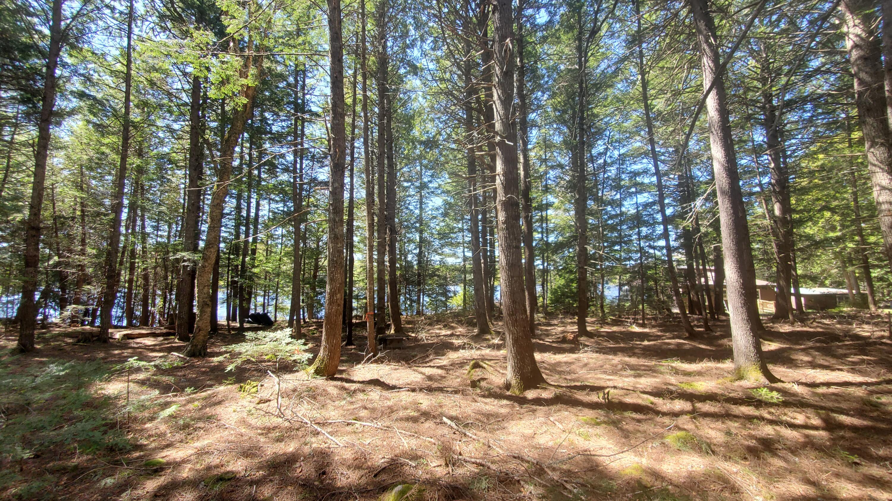 307 Lakeville Shores Road Property Photo 10