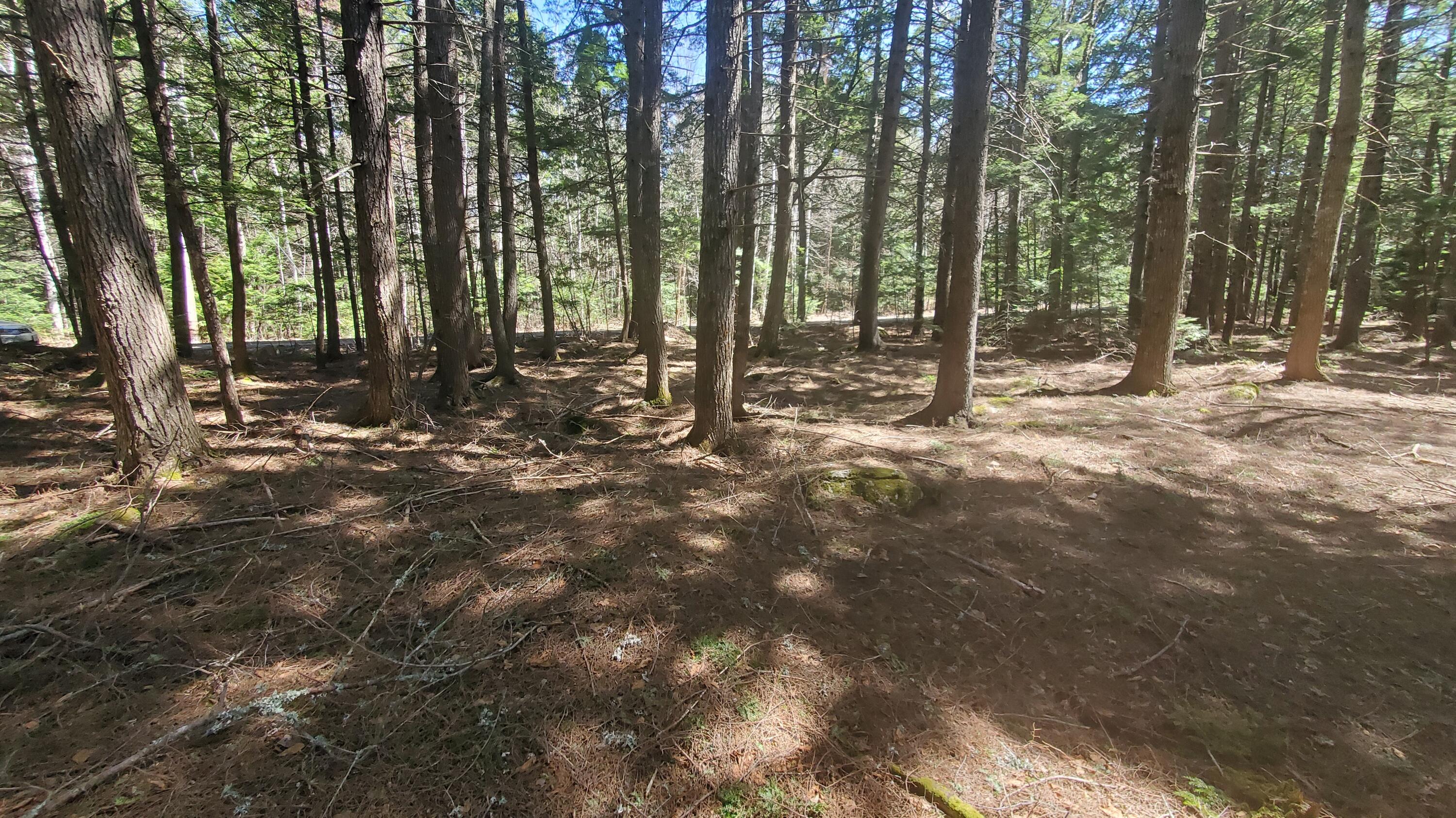 307 Lakeville Shores Road Property Photo 12