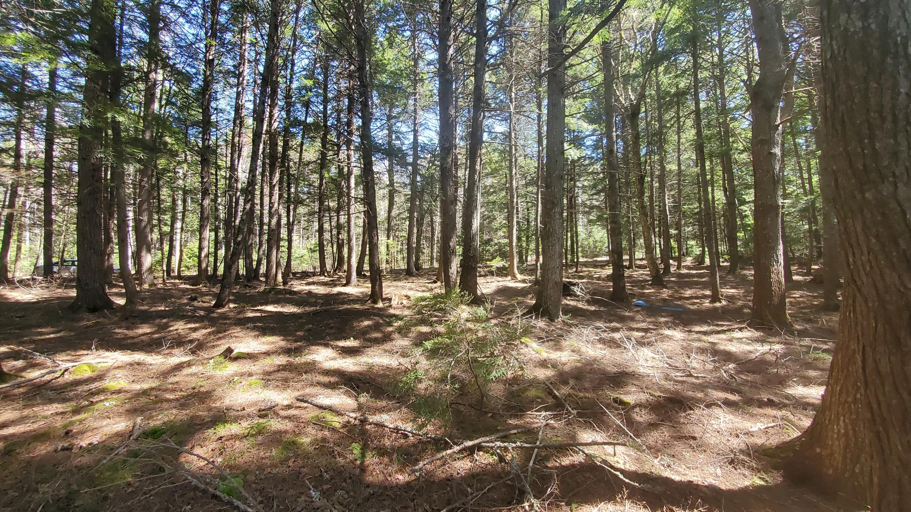 307 Lakeville Shores Road Property Photo 13