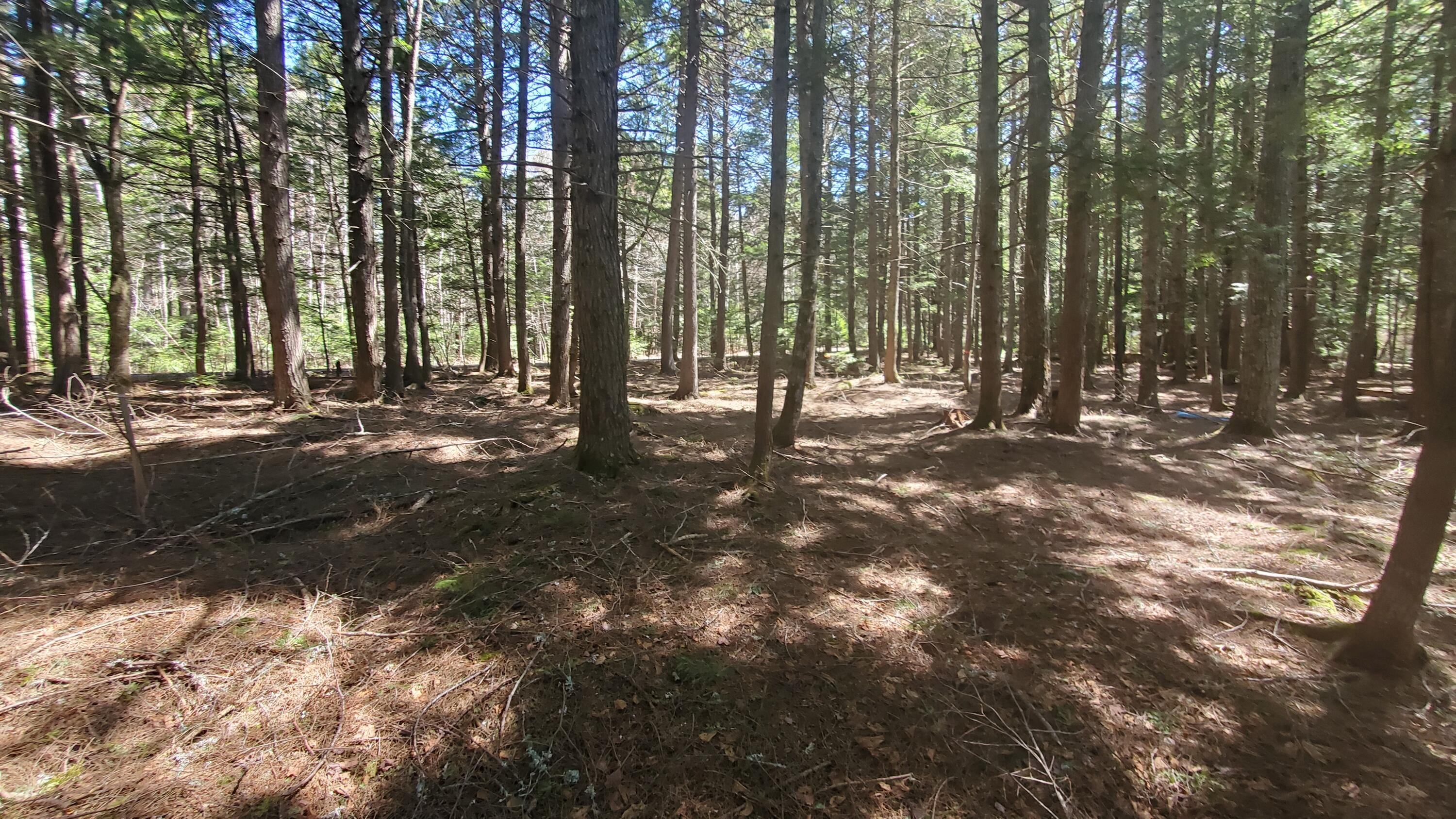 307 Lakeville Shores Road Property Photo 14