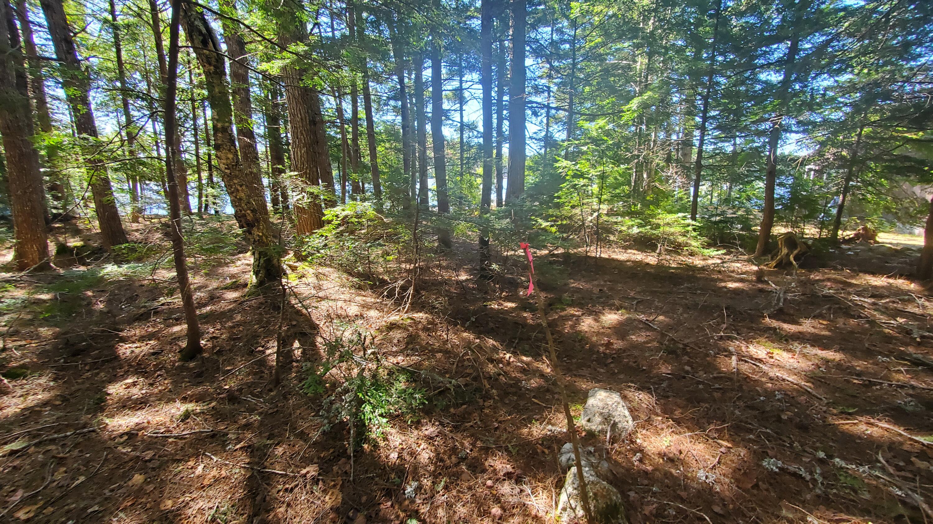 307 Lakeville Shores Road Property Photo 15