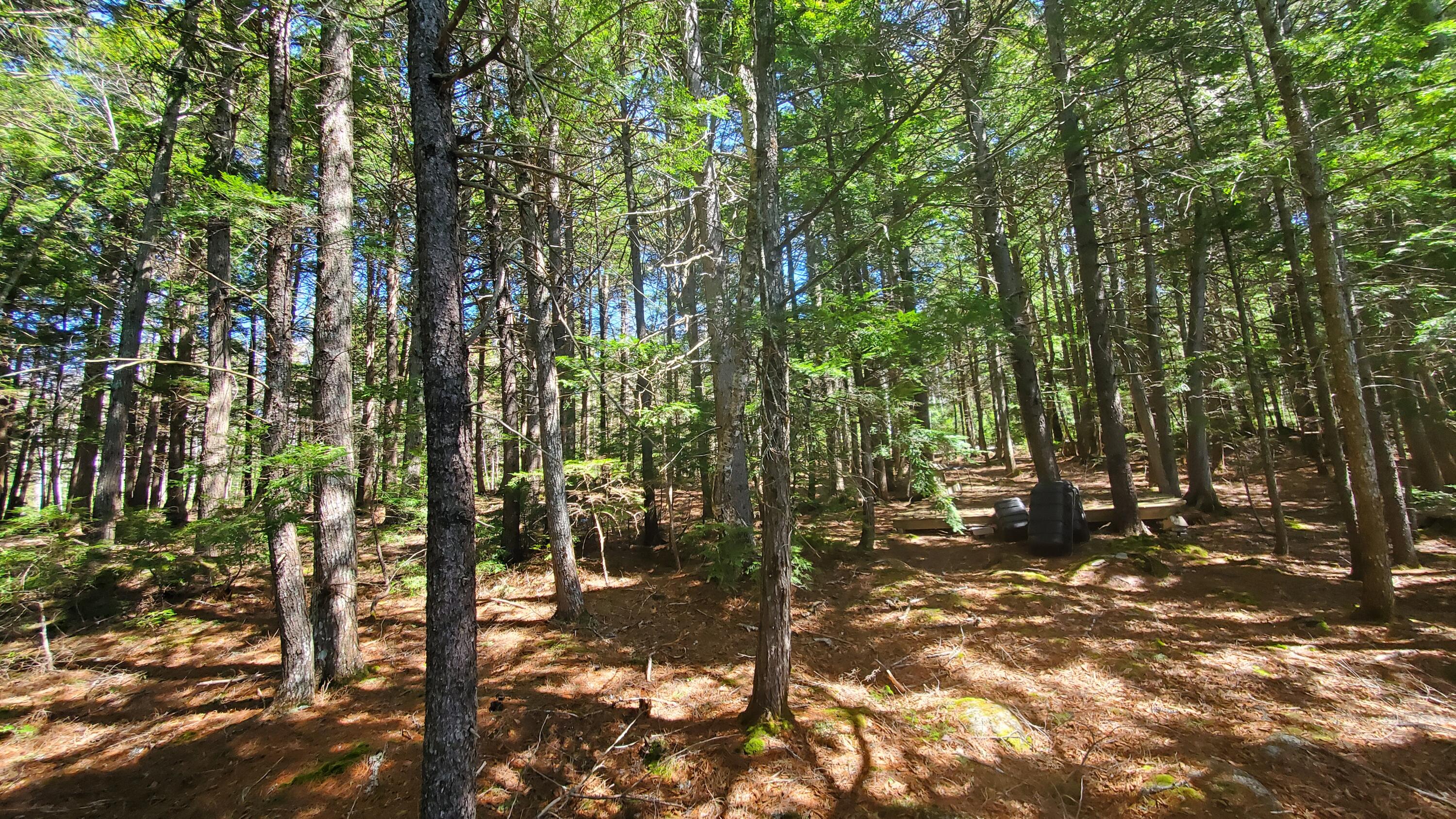 307 Lakeville Shores Road Property Photo 17
