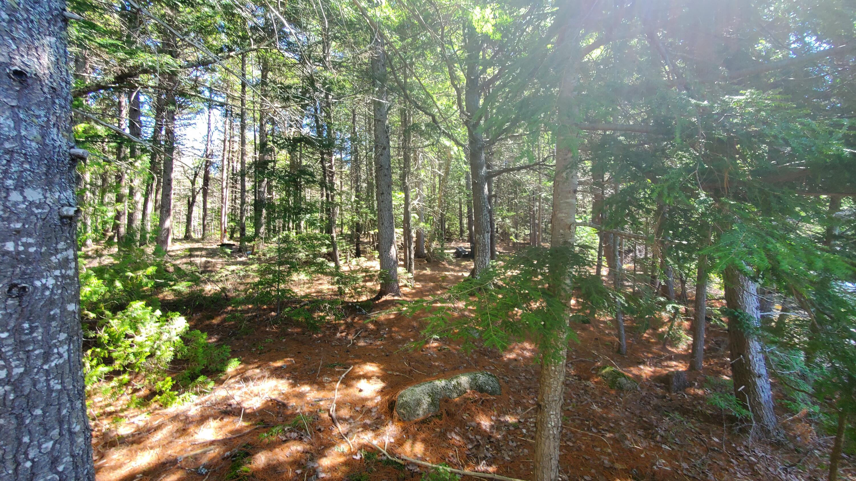 307 Lakeville Shores Road Property Photo 18